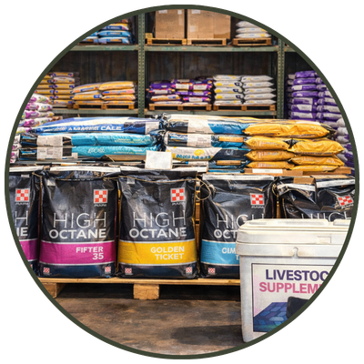 Premium livestock show feed products designed for growth, performance, and conditioning.