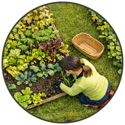 Supplies for gardening and small property projects including planting and lawn care