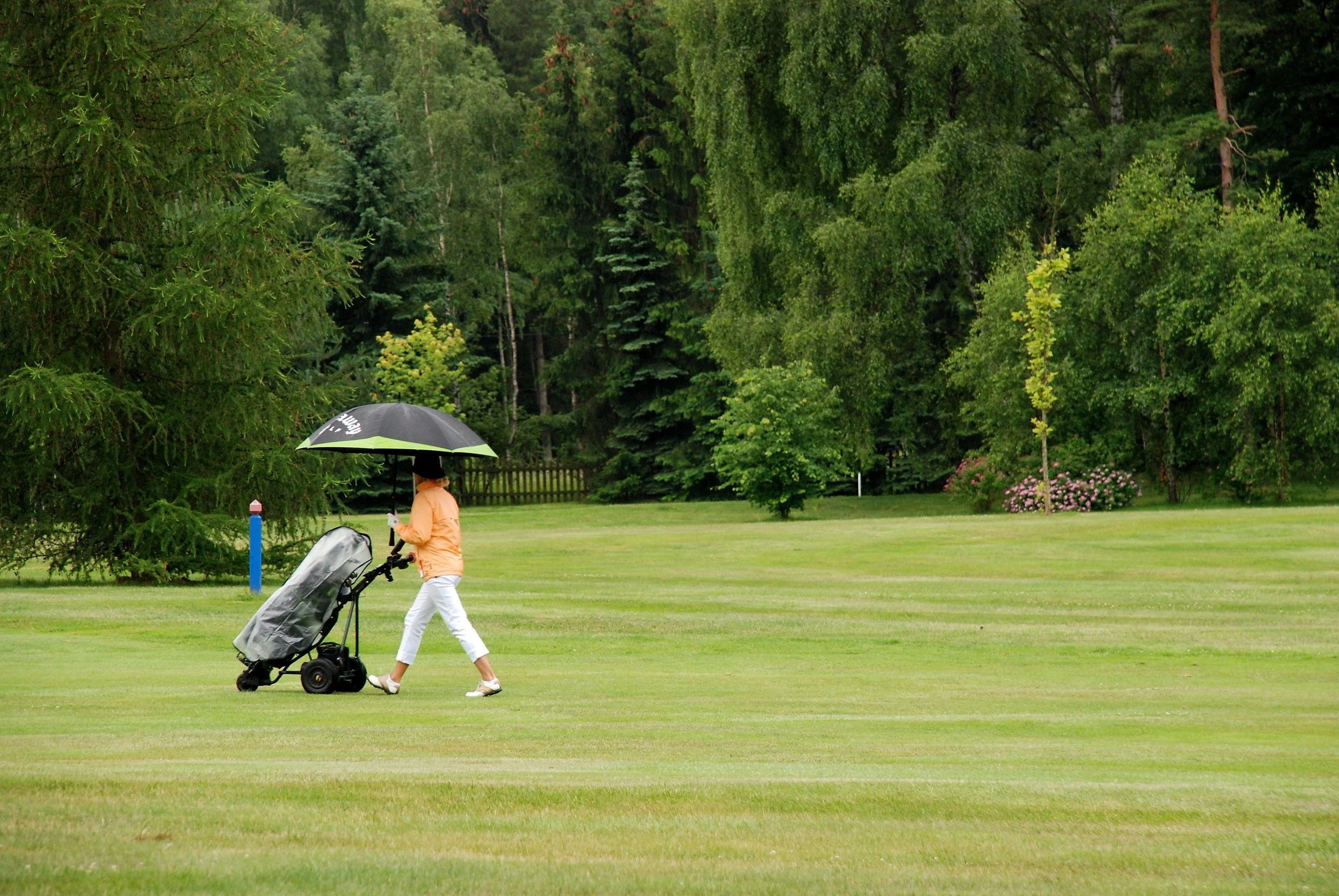 Fairway Insights: Monthly Briefing for UK Golf Clubs