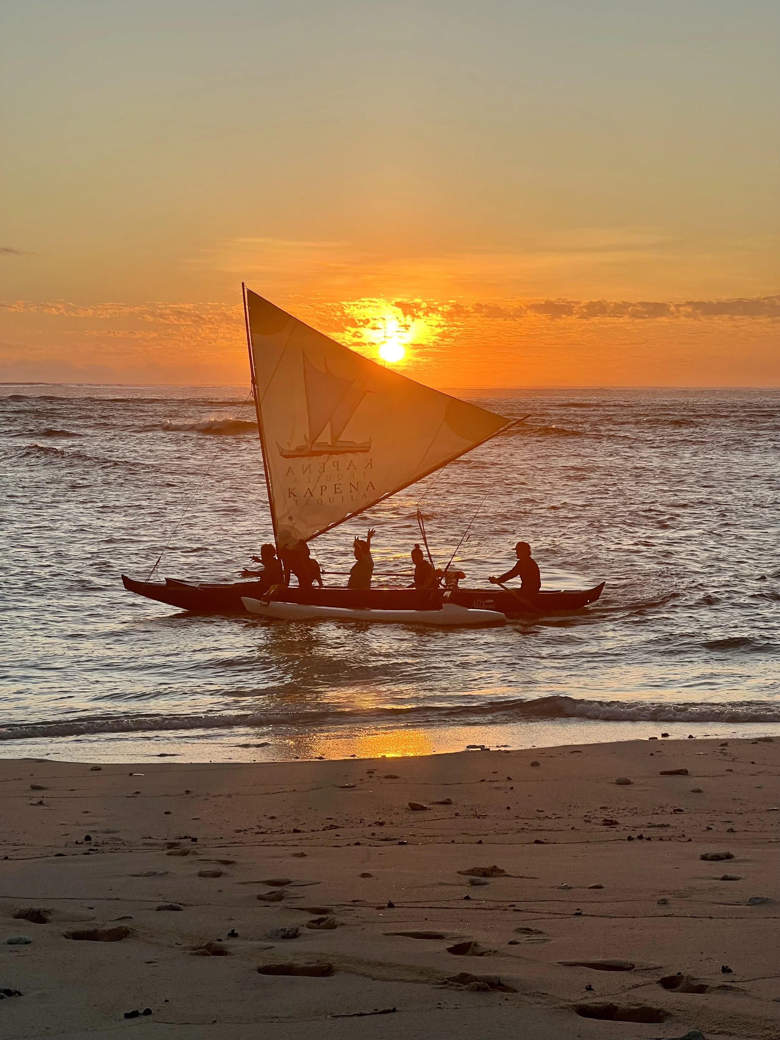 Silhouette of a boat with five people sailing at sunset on the ocean near a sandy beach.