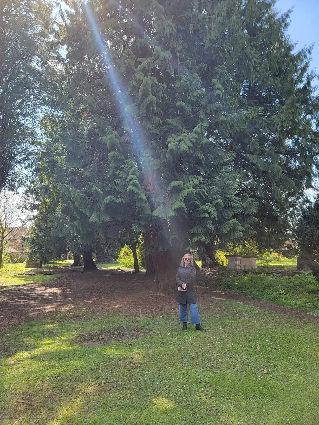Woman standing in a park with tall trees and green grass, bright sunlight shining through the branches.