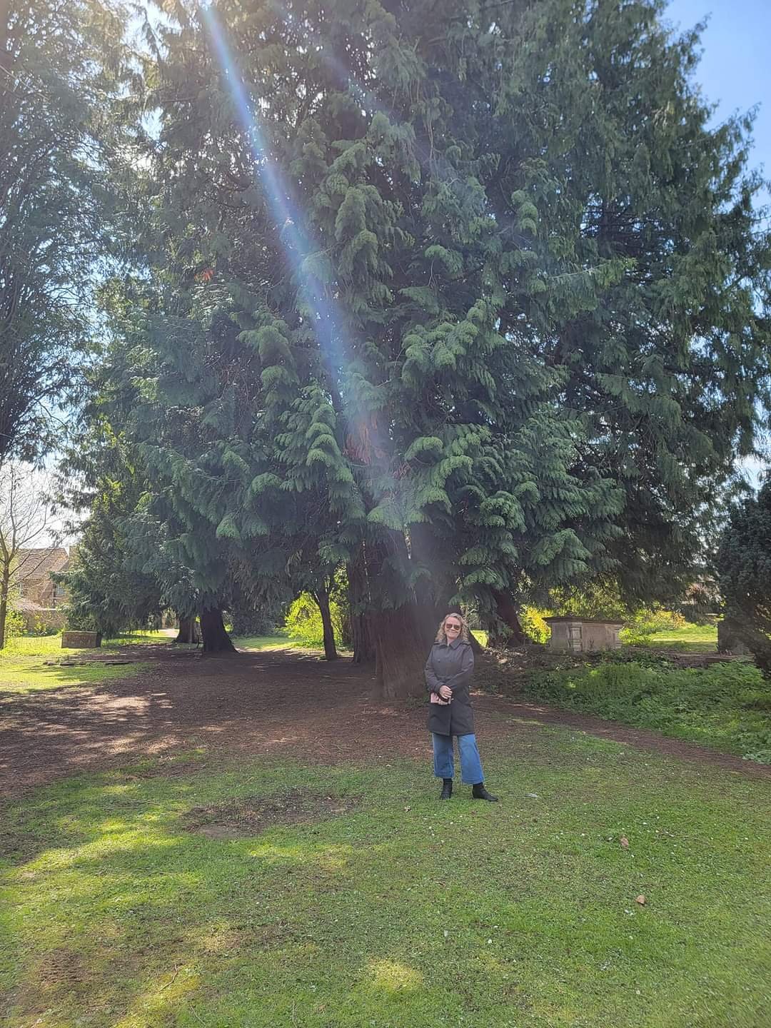 A woman standing in a park with large trees, sunlight shining through the branches, and a clear sky.