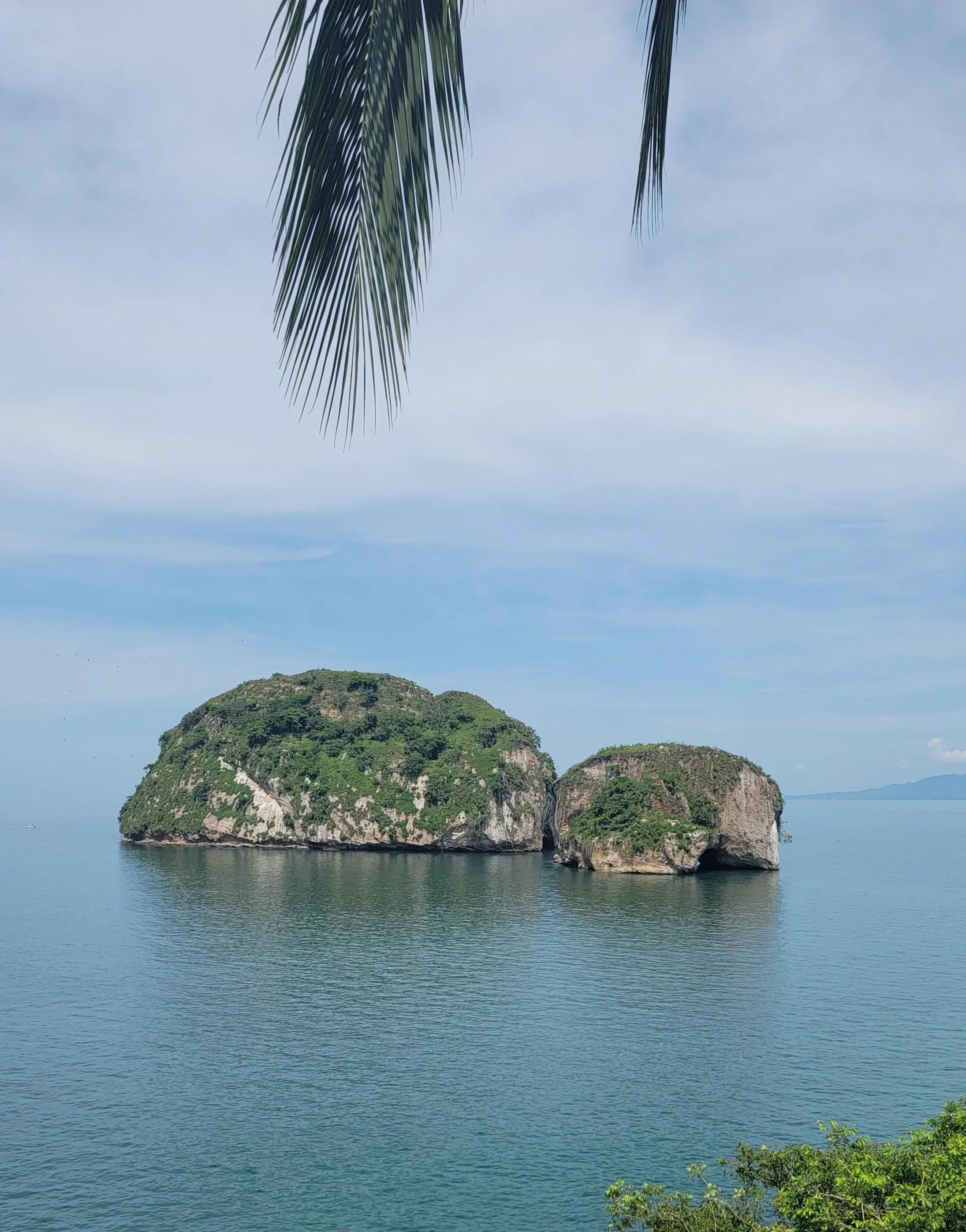 Two small, lush green islands in calm blue water, with a partly cloudy sky and a palm frond hanging from the top of the image.