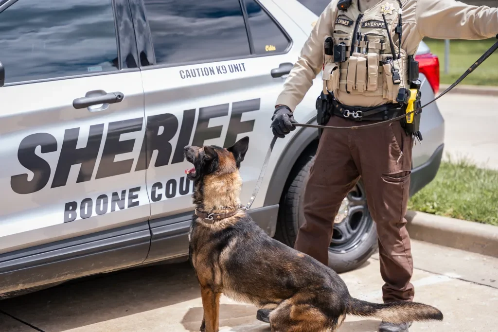 A sheriff's deputy wearing a tan uniform and brown pants holding a leash attached to a German Shepherd police dog, standing next to a sheriff's vehicle labeled 'Boone County' and 'Caution K9 Unit'.