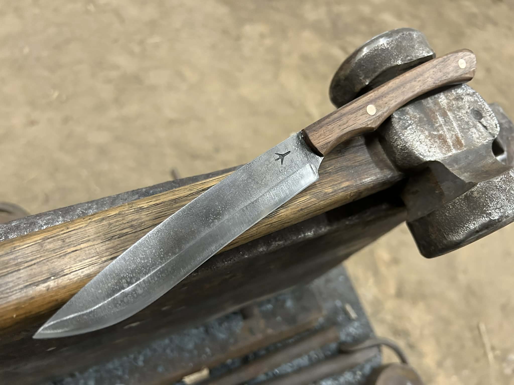 Forged Drop point Knife