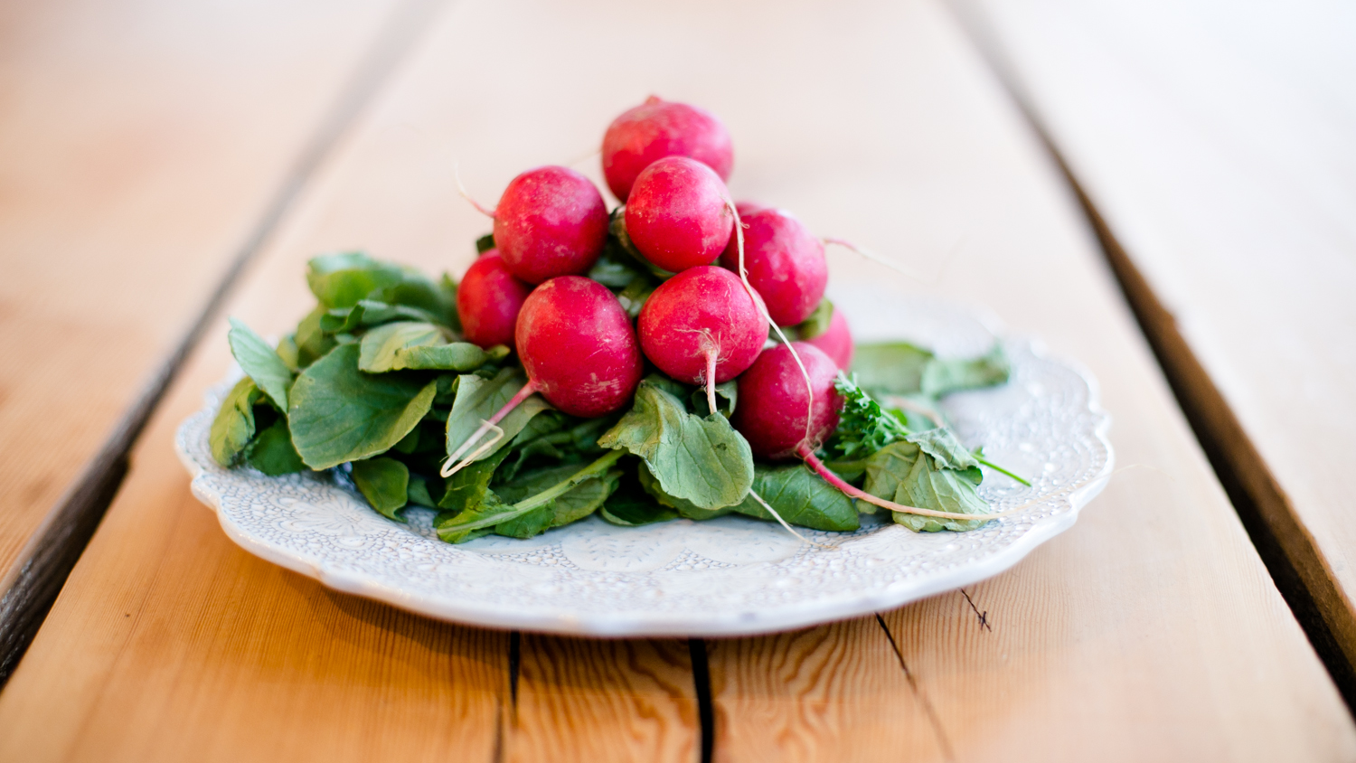 The Vitality Project by Dr. Caitlin O'Connor