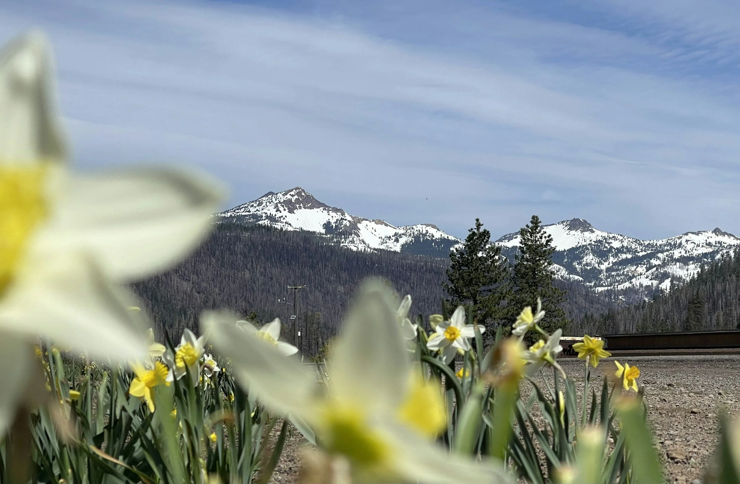 Colorado Mountains Perimenopause support