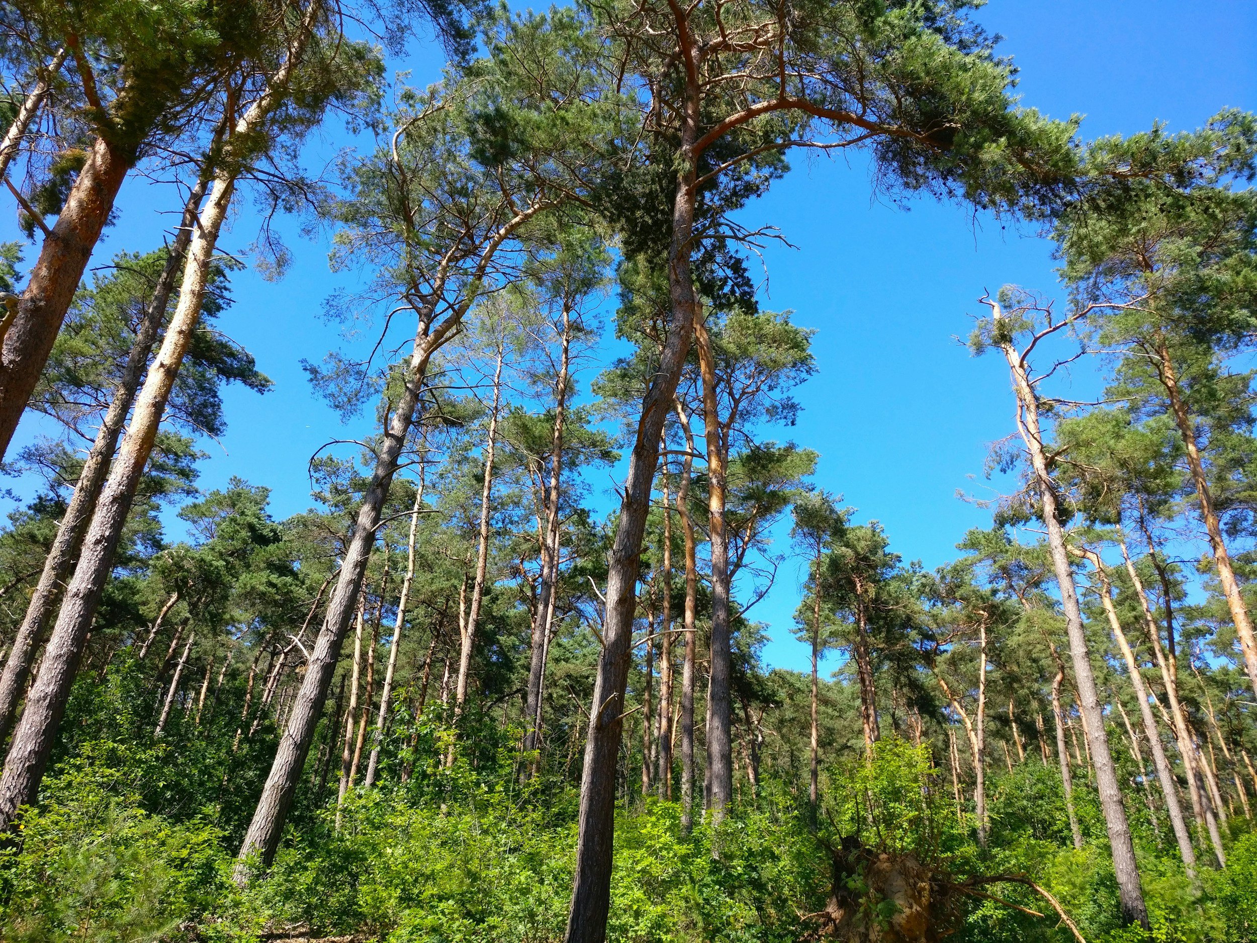 Women's movement and performance health care in denver colorado