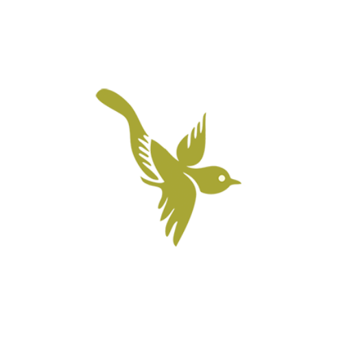 Dr. Caitlin bird logo icon