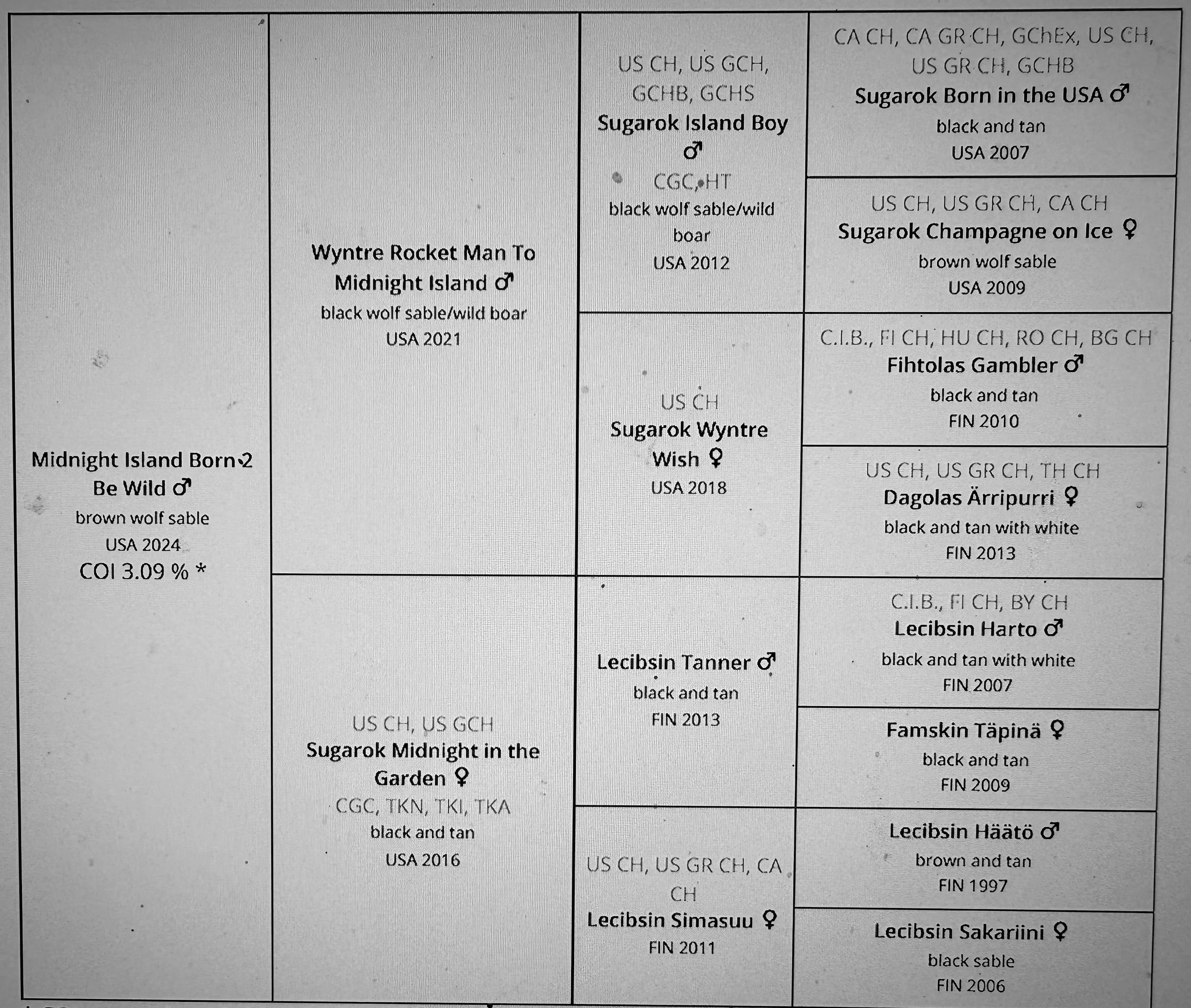 A family tree chart of Sabah Parrotbill birds, showing their names, physical descriptions, origins, and years of birth, with nesting details.