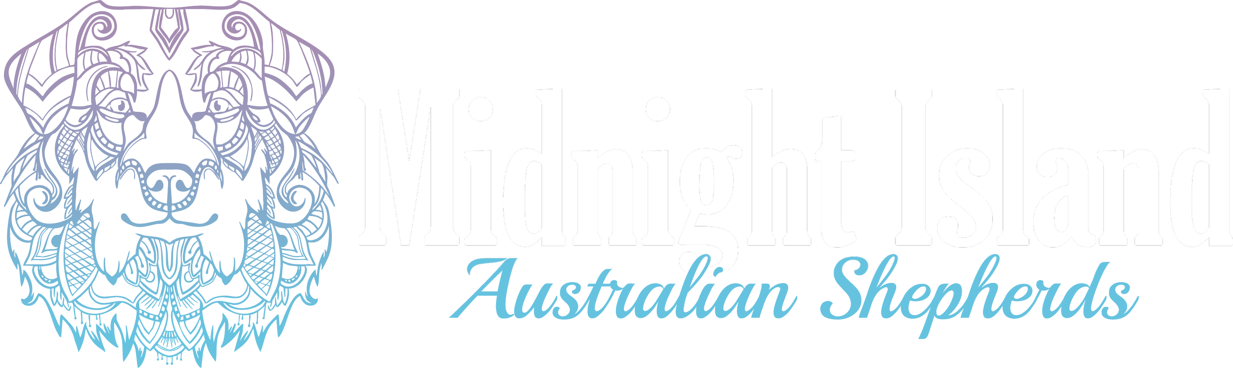 Logo of Midnight Island Australian Shepherds featuring a stylized blue and white Australian Shepherd dog's face on the left and the text "Midnight Island" in large black and white lettering with a green outline, with "Australian Shepherds" written in cursive blue underneath.