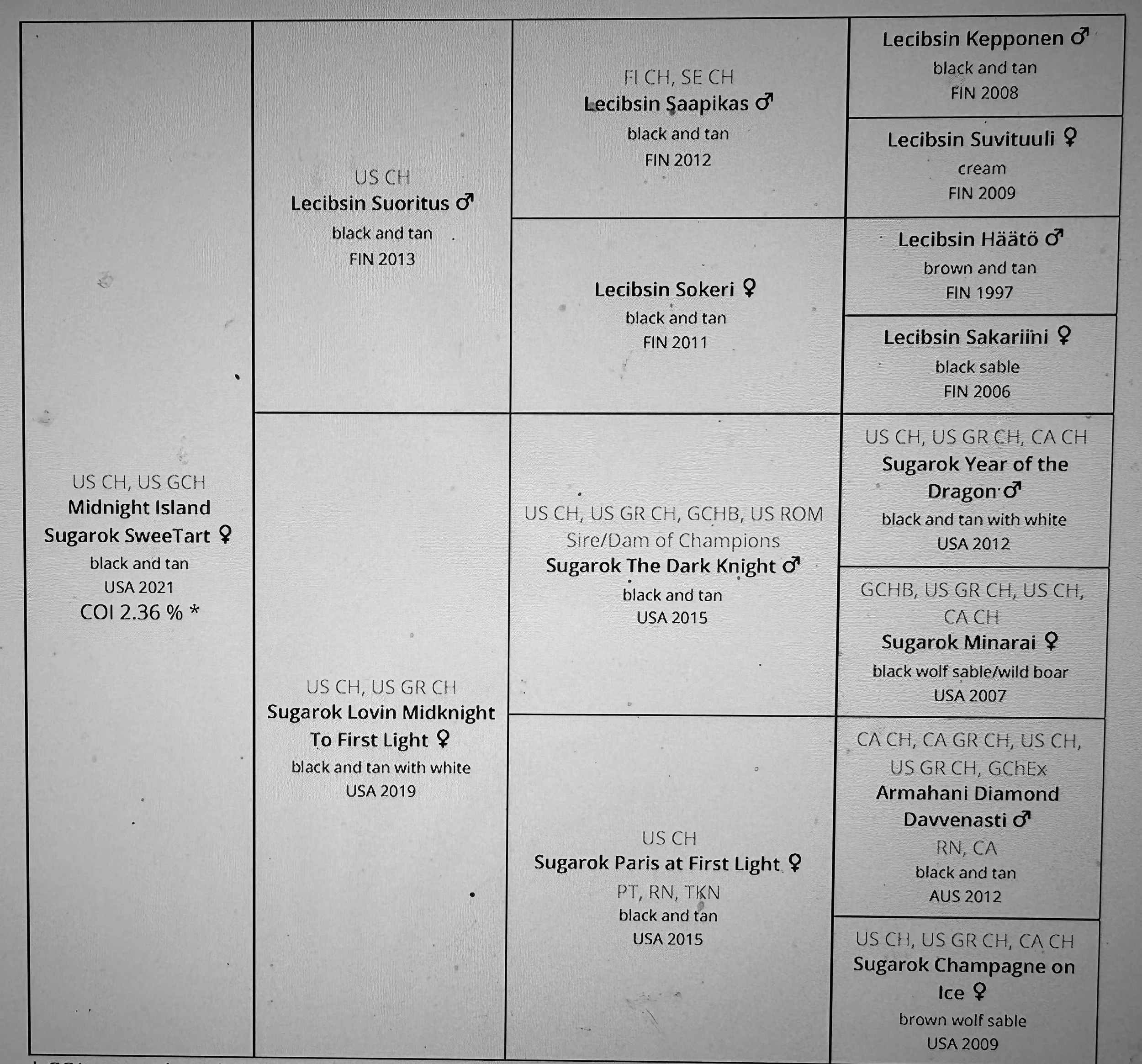 A dog pedigree chart showing various dogs and their lineage, including names, breed, color, birth year, and other details.