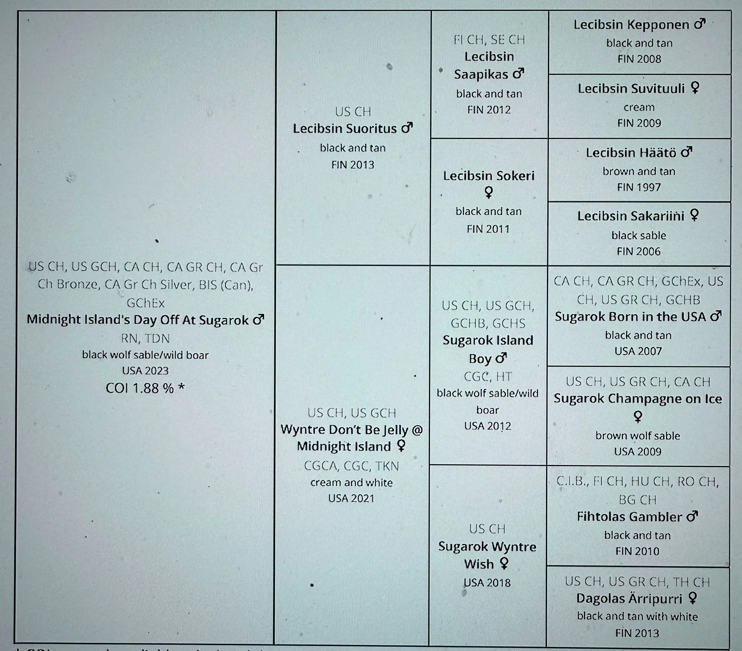 A detailed pedigree chart for Midnight Island's Day Off At Sugarok, a black and tan male pig, showing lineage, breeding details, and origins from various countries and years.