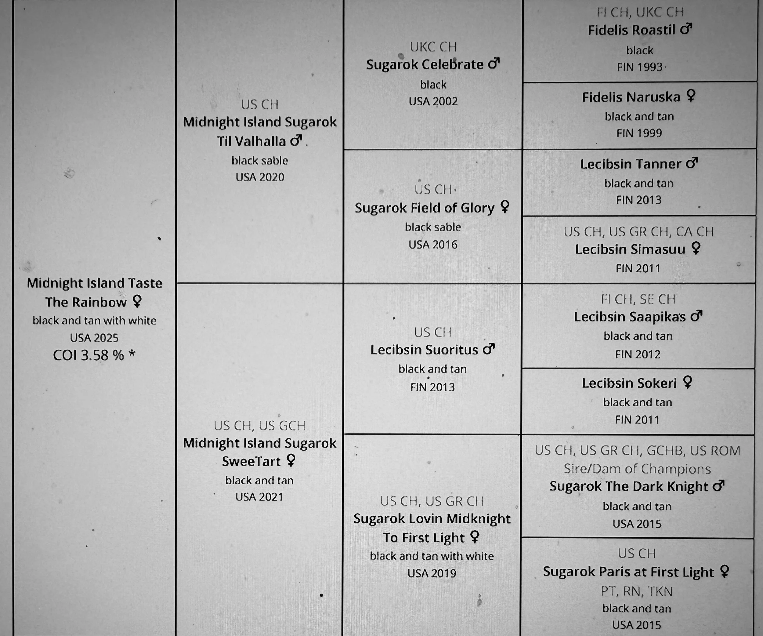 A detailed pedigree chart of a dog breed, showing names, genders, colors, and breeding years for various dogs in the lineage.