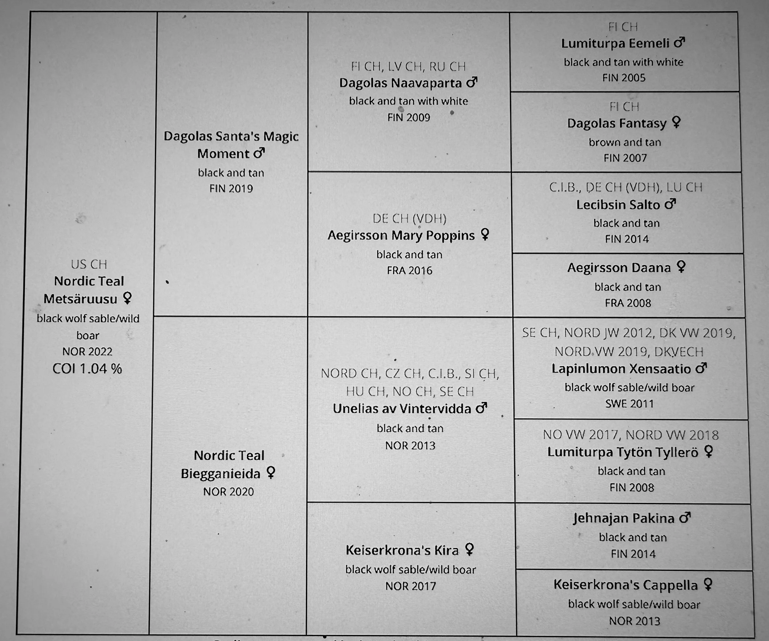 A detailed pedigree chart of Nordic Teal and related ducks, showing their color, markings, and breeding years.