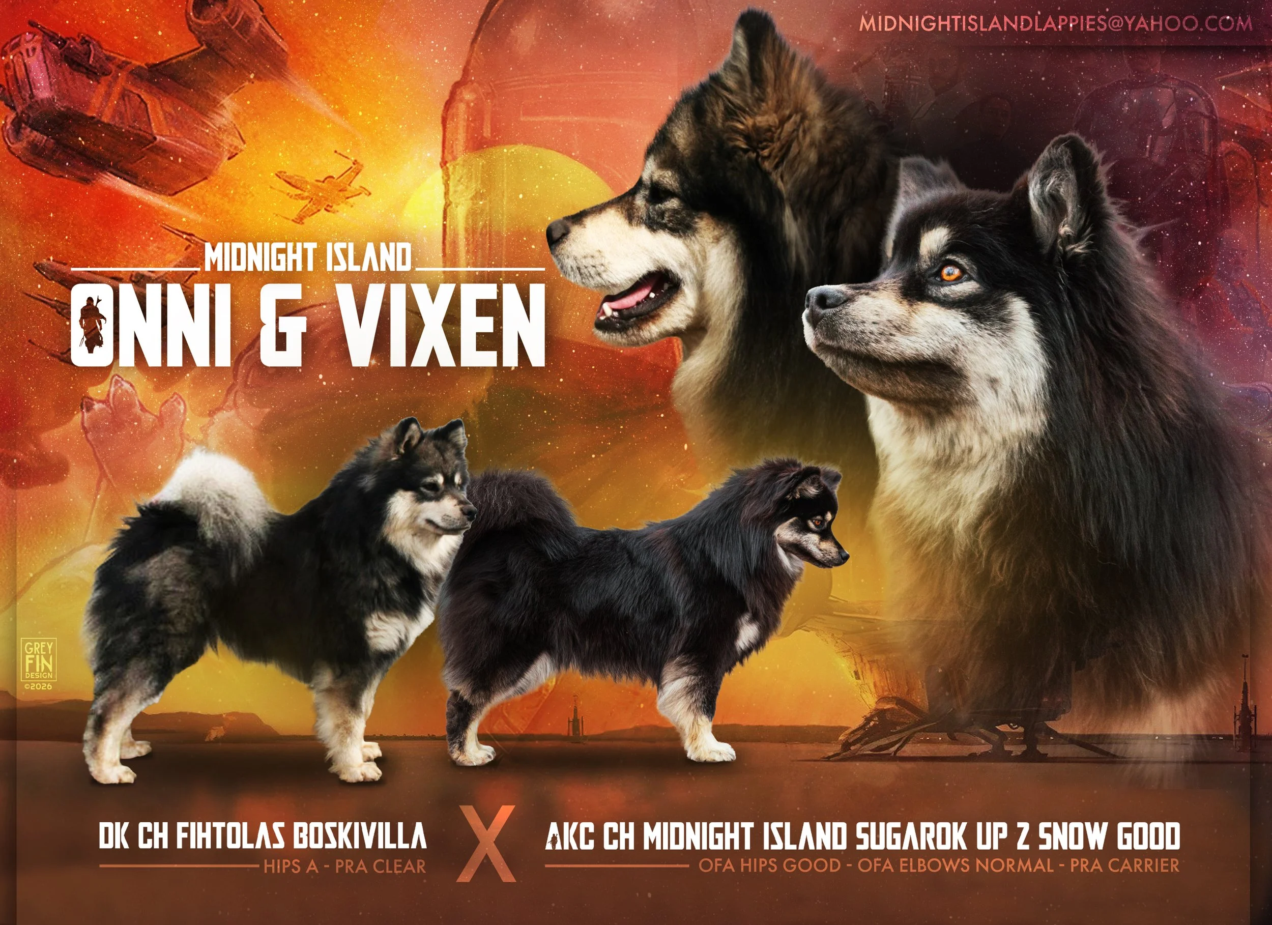 Four Finnish Lapphund dogs against a fantasy-style space background with spacecraft and a sunset, with the words 'Midnight Island Onni & Vixen'.