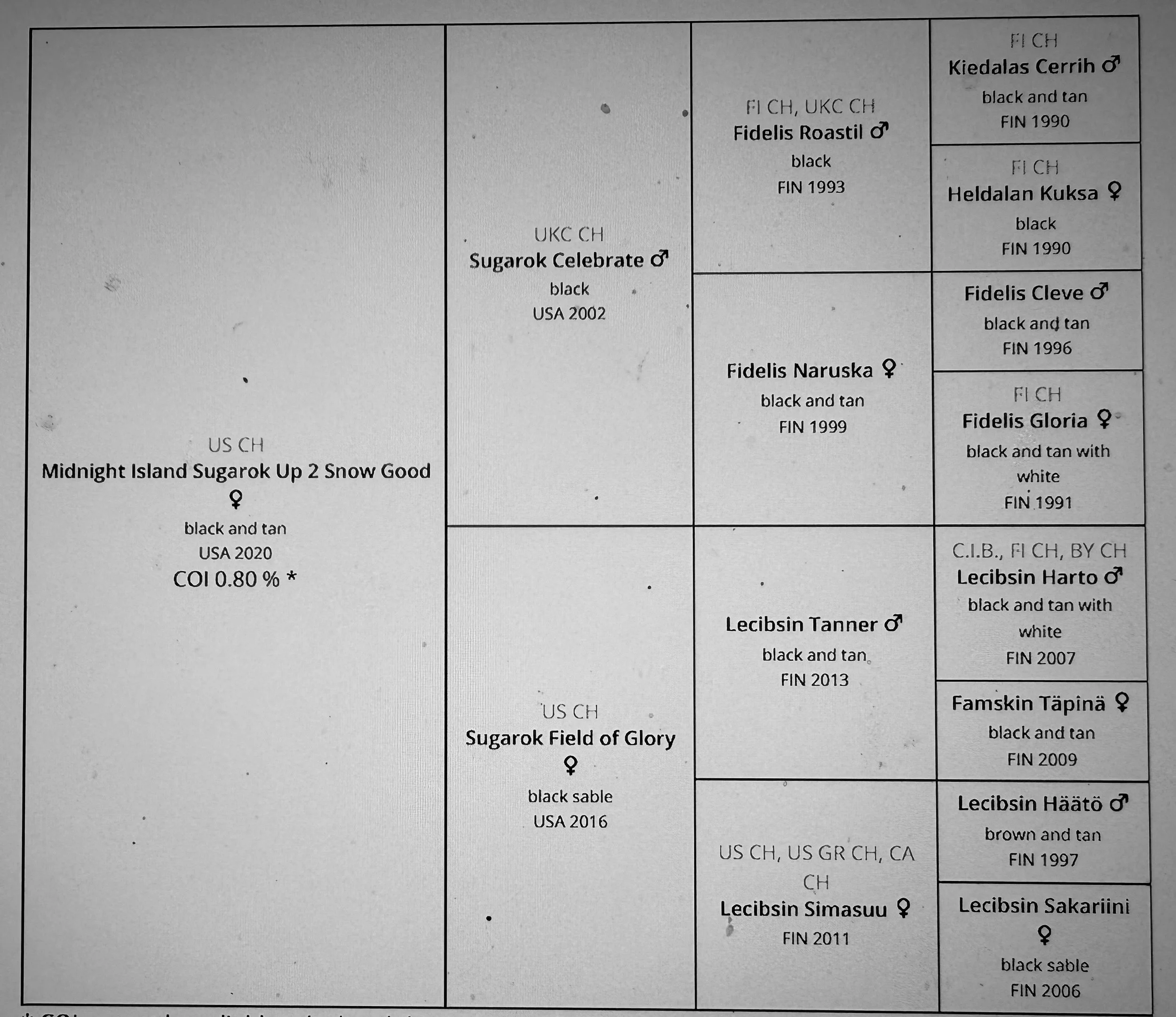 Part of a dog pedigree chart showing various dog names, colors, and birth years, including Midnight Island Sugarok Up 2 Snow Good, Sugarok Celebrate, Fidelis Roastil, Fidelis Naruska, and Lecibsin Harto.