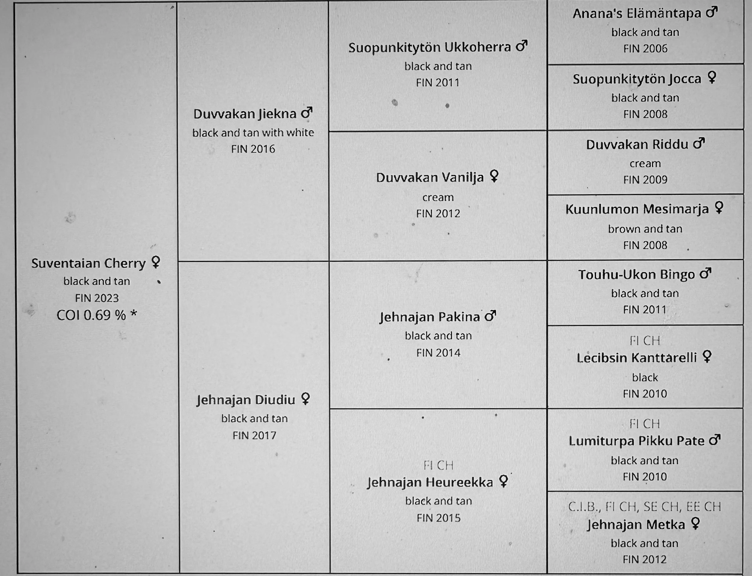 A pedigree chart for Suventaiian Cherry and its ancestors, showing names, genders, colors, and breeding years.