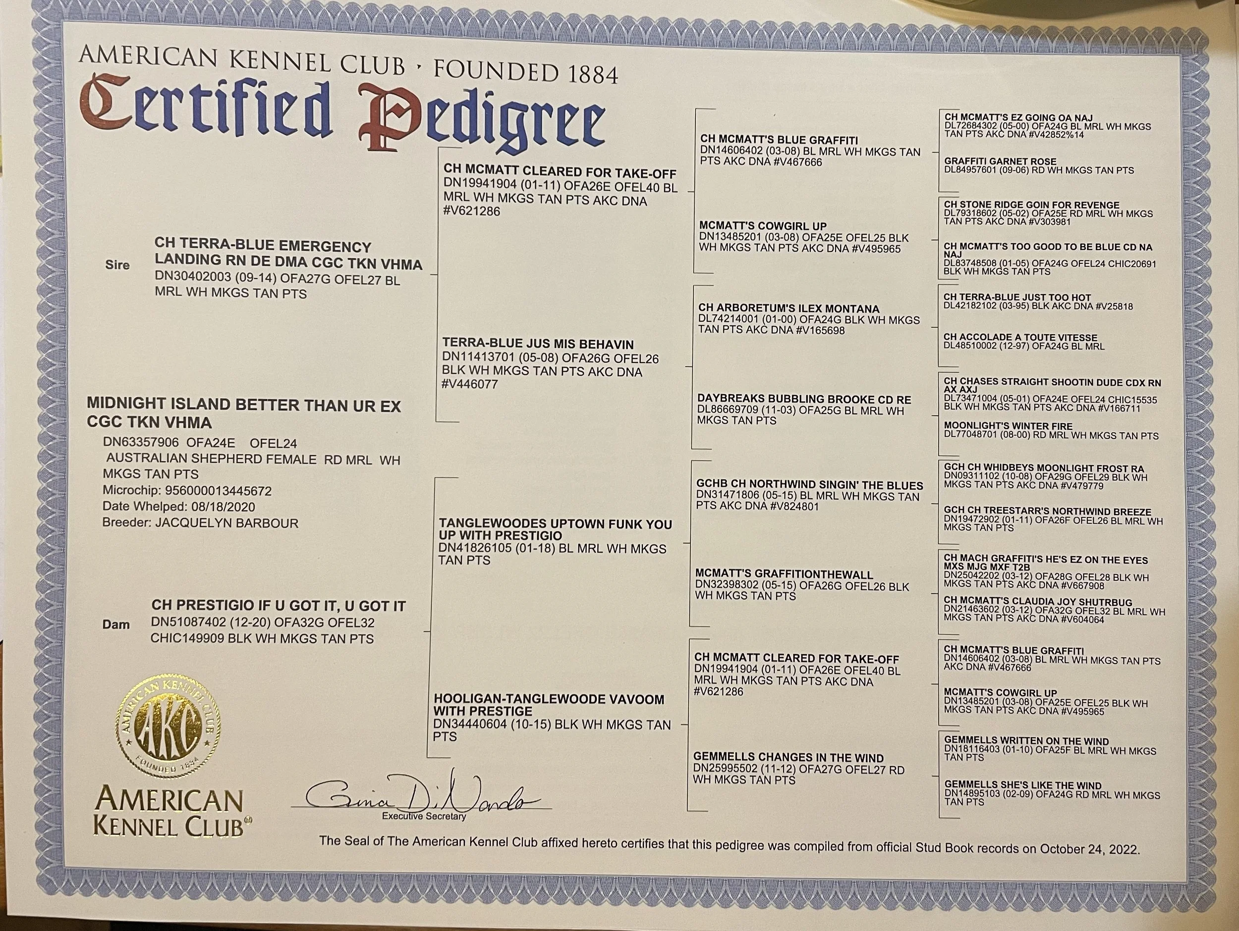 Certification document from the American Kennel Club, issued in 2022, indicating a pedigree for a dog with details about ancestors, breeder, and handler, including names like Midnight Island Better Than Ur Ex, CH Prestigio If U Got It, and others.