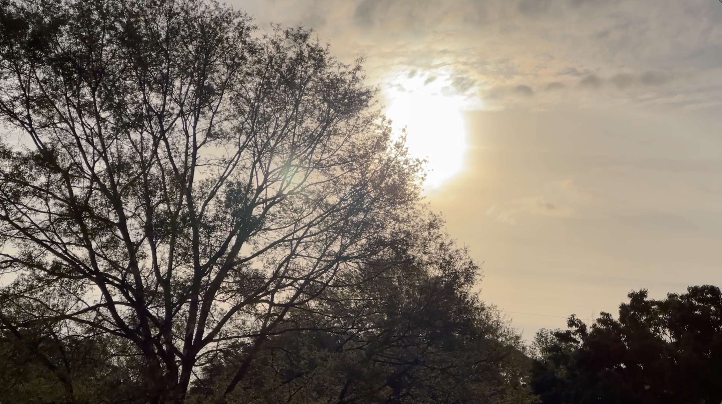 Easter Sunrise McMillan Road