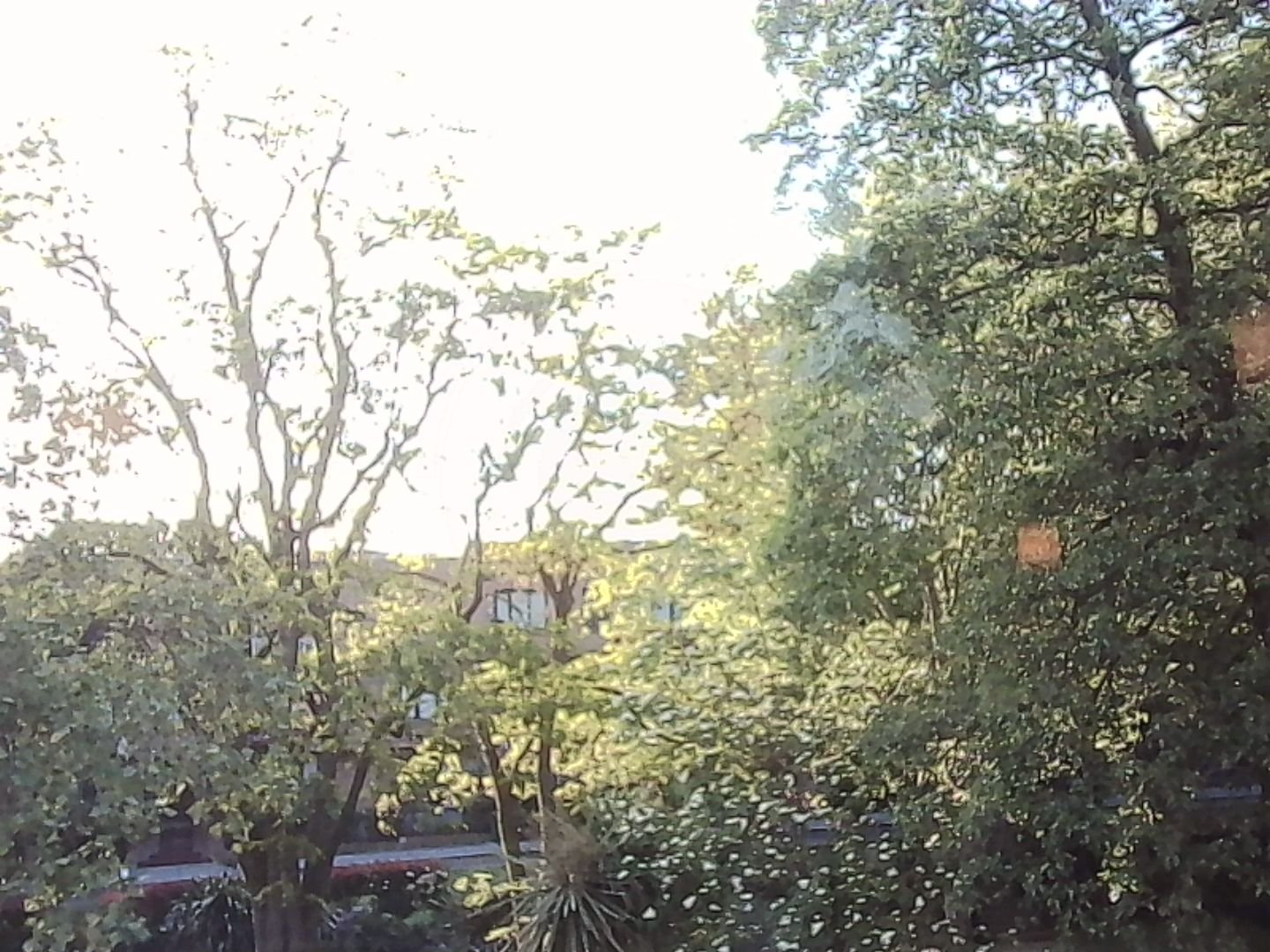 PICT0028.jpg