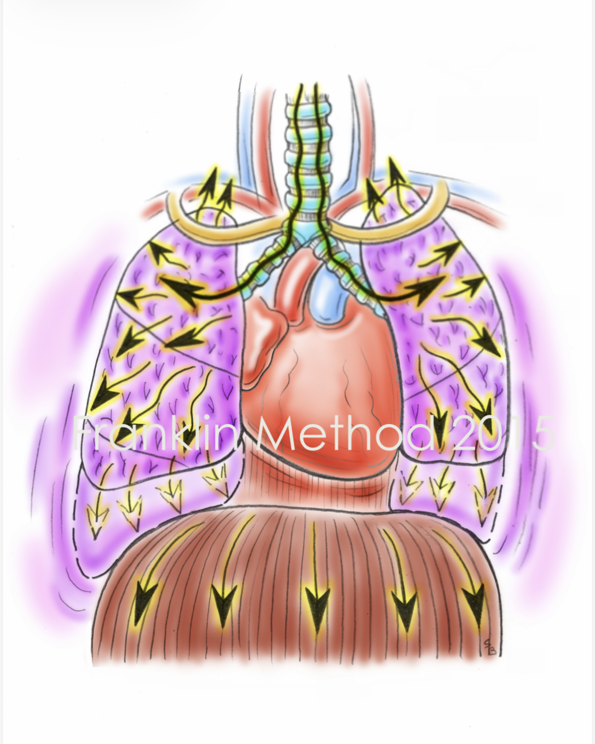 the franklin method in pilates taught at Providence Pilates Center in Rhode Island