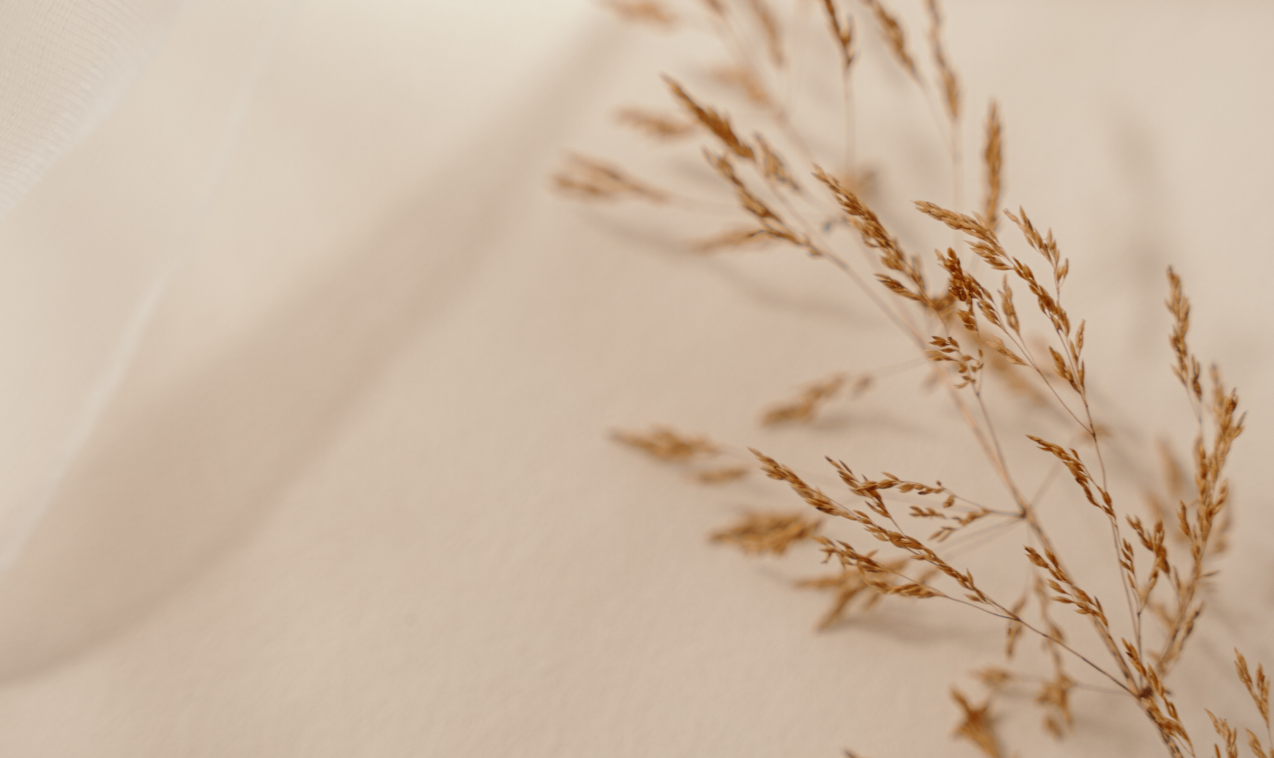 Best Medspa in Naperville, IL