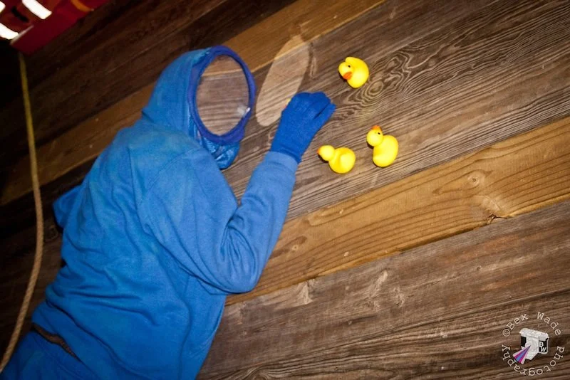 Human Diorama Project