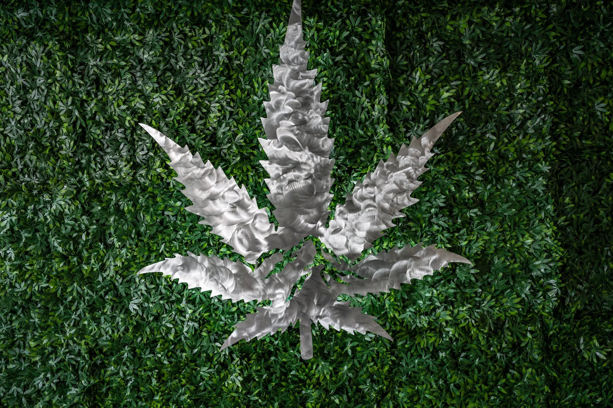Rocky Mountain cannabis-31.jpg