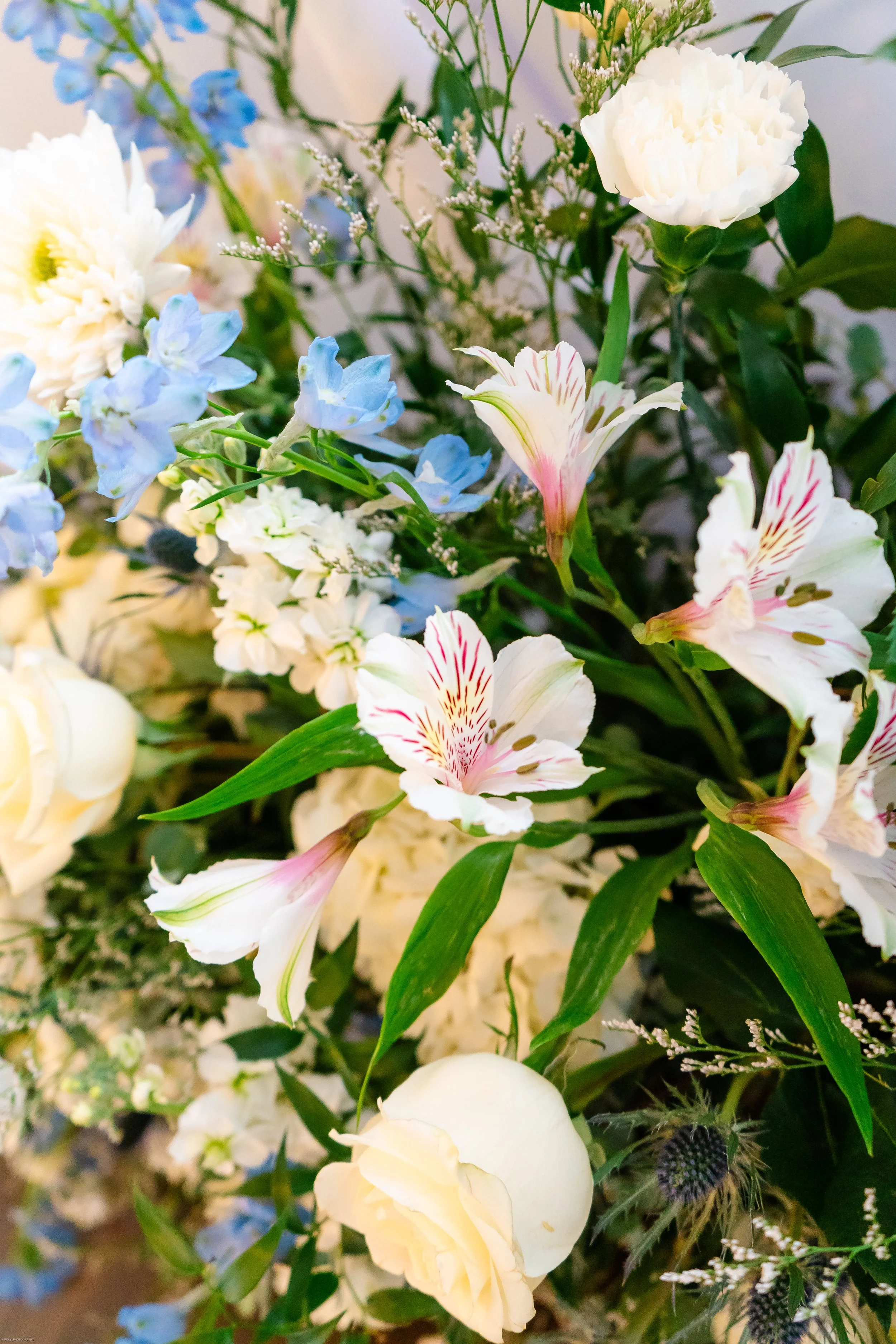 thevaseyswed_amkayphotography-241.jpg