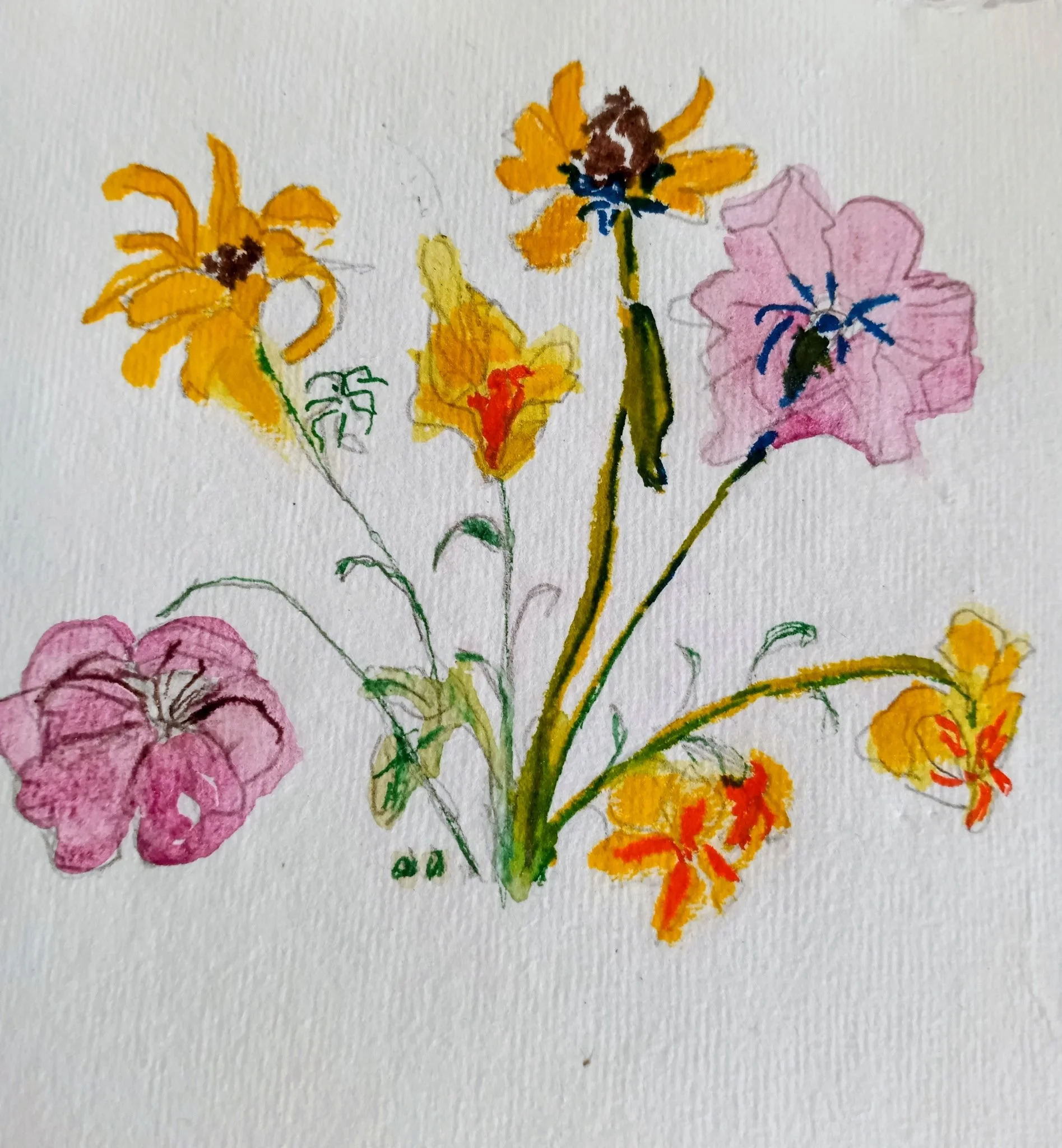 Watercolor Botanical Class: October 18th, 4:00-6:00 PM