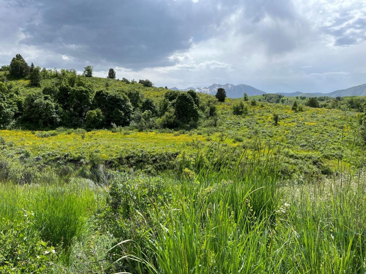 New Easement Connects Protected Lands Across Ogden Valley