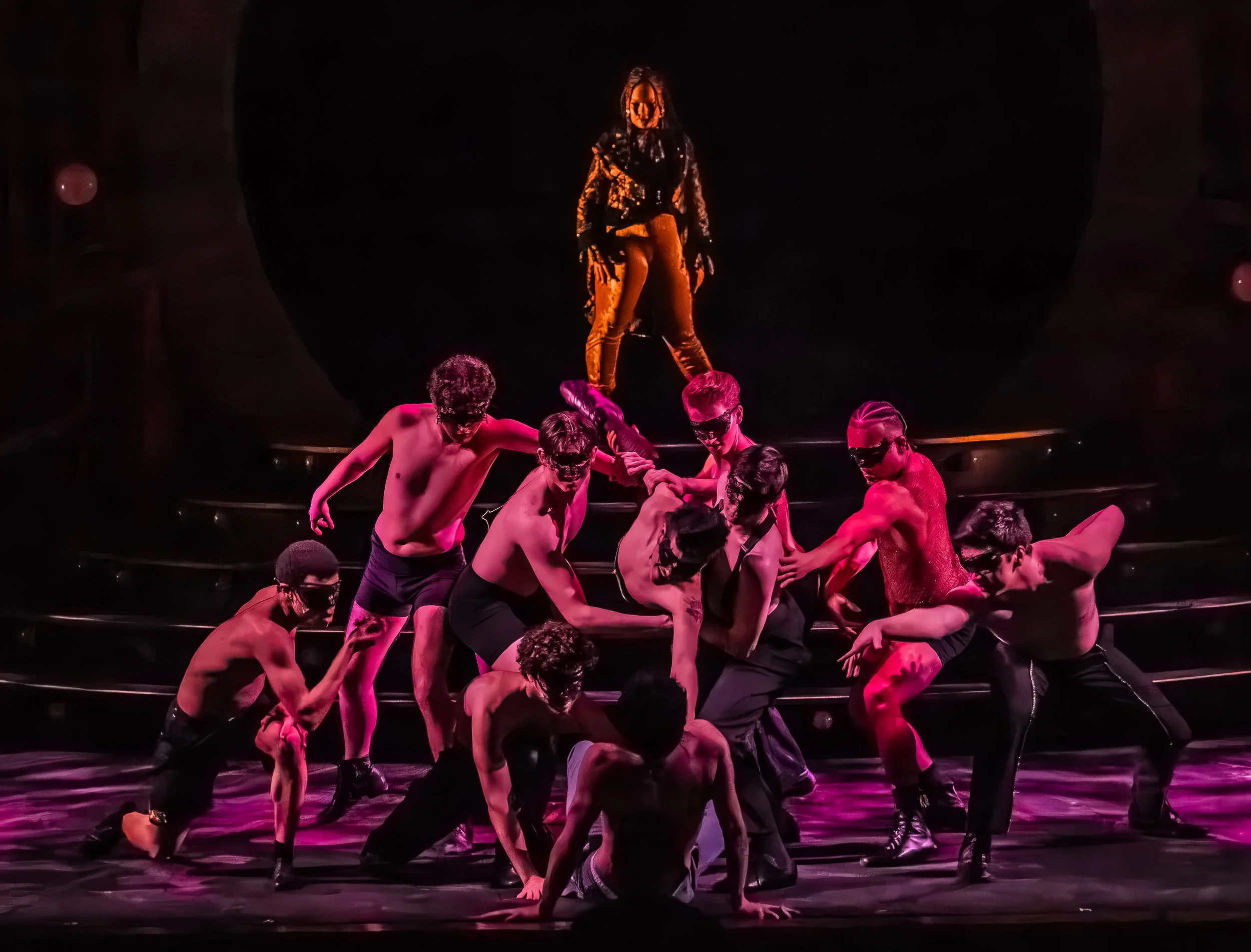 Pippin 260302-442.jpg