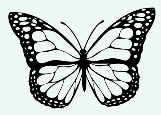 A black and white butterfly illustration with detailed wing patterns and antennae.