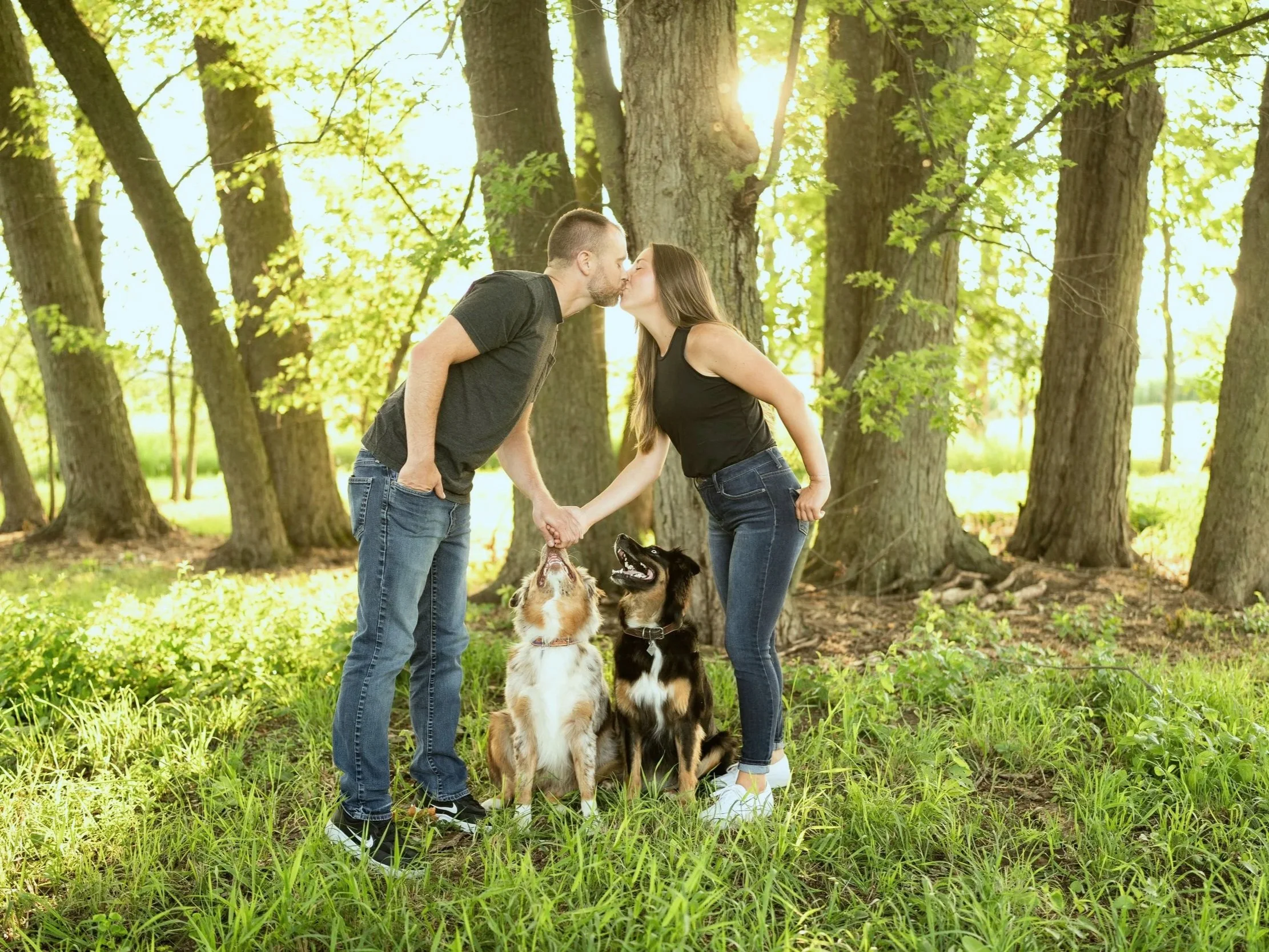 A couple kissing in a forested park with two dogs, one Australian Shepherd and one mixed breed, during sunlight.