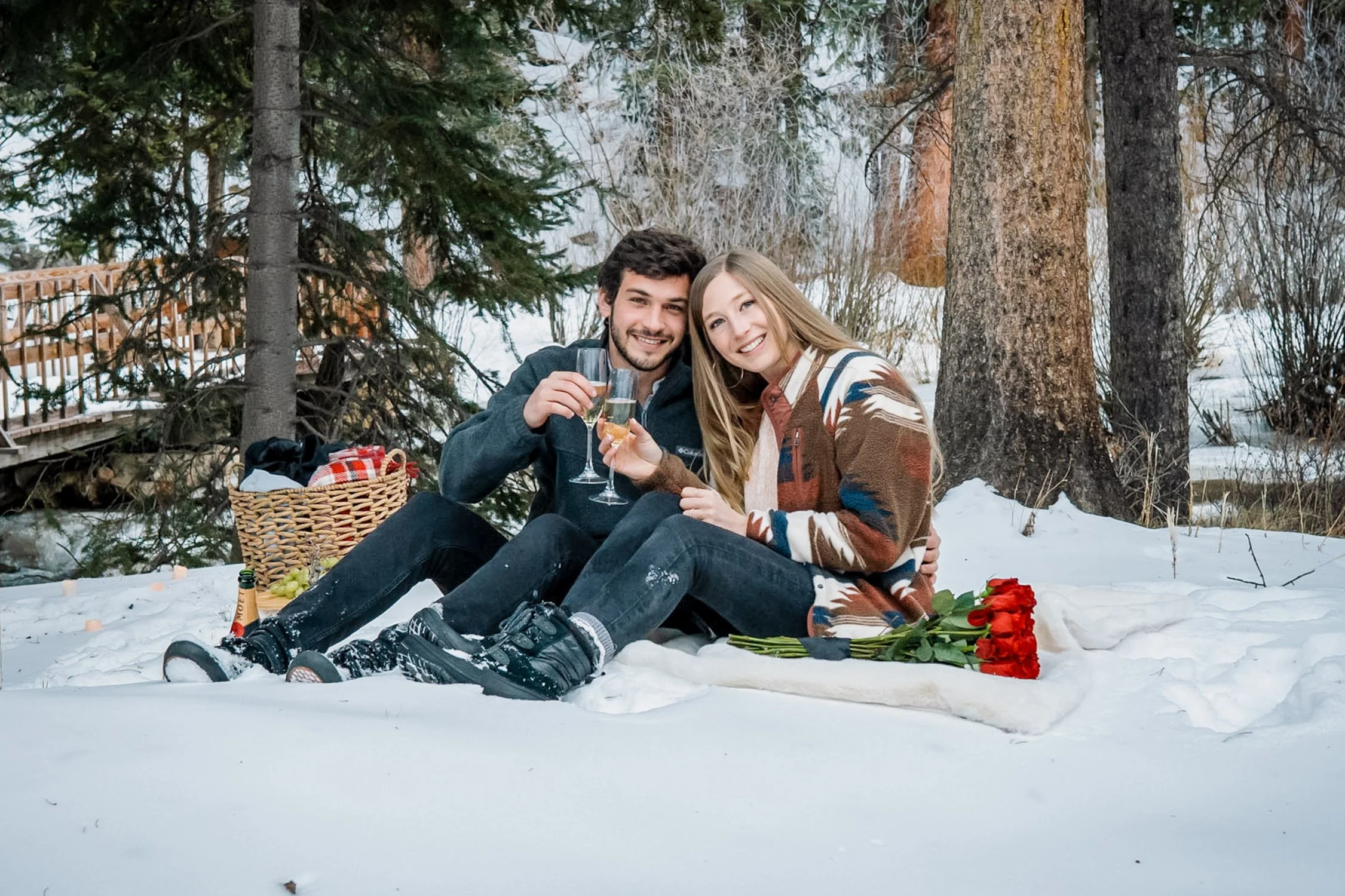 picnic-after-winter-proposal-madison.jpg