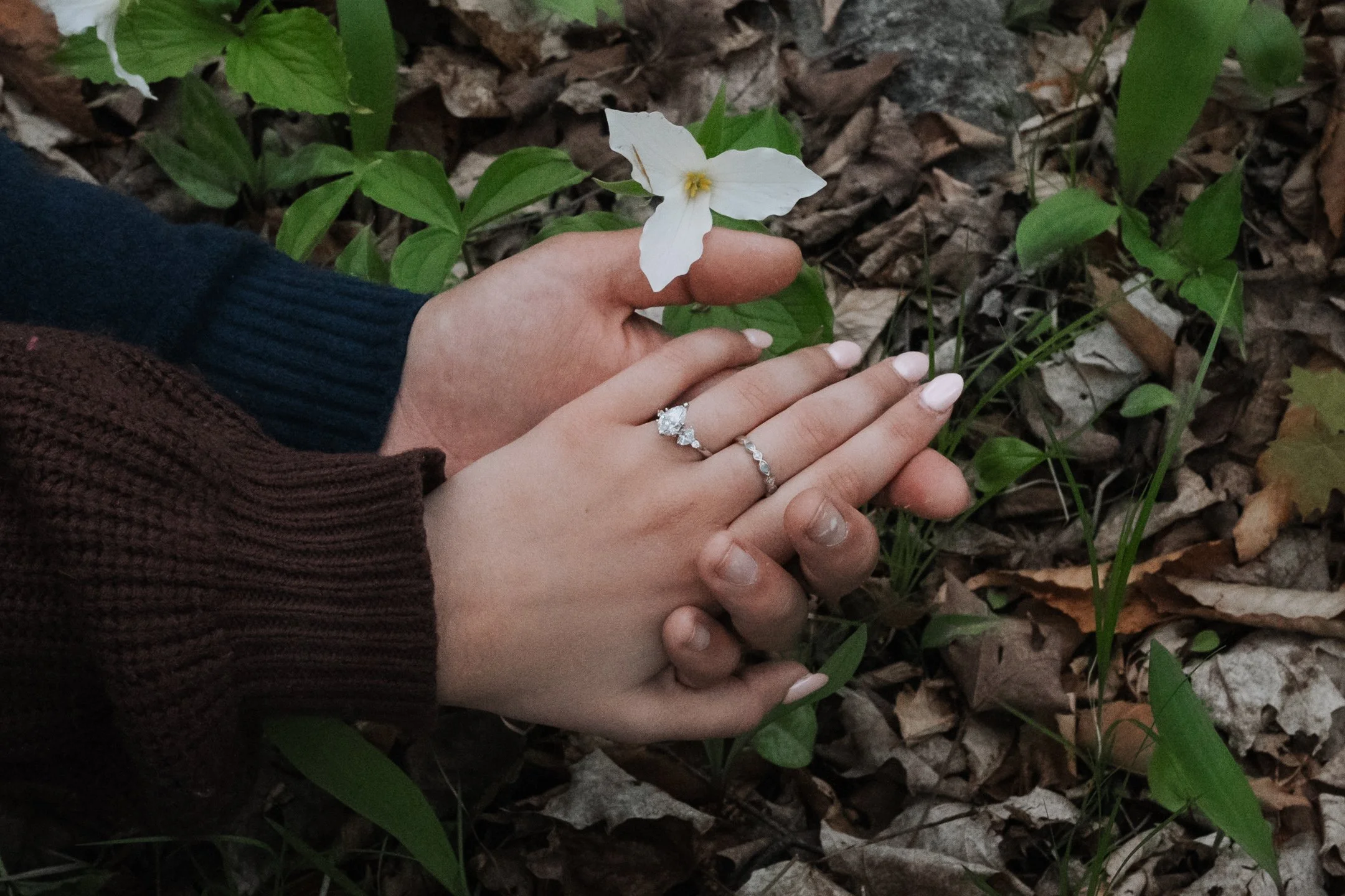 Cave Point Door County Proposal-110.jpg