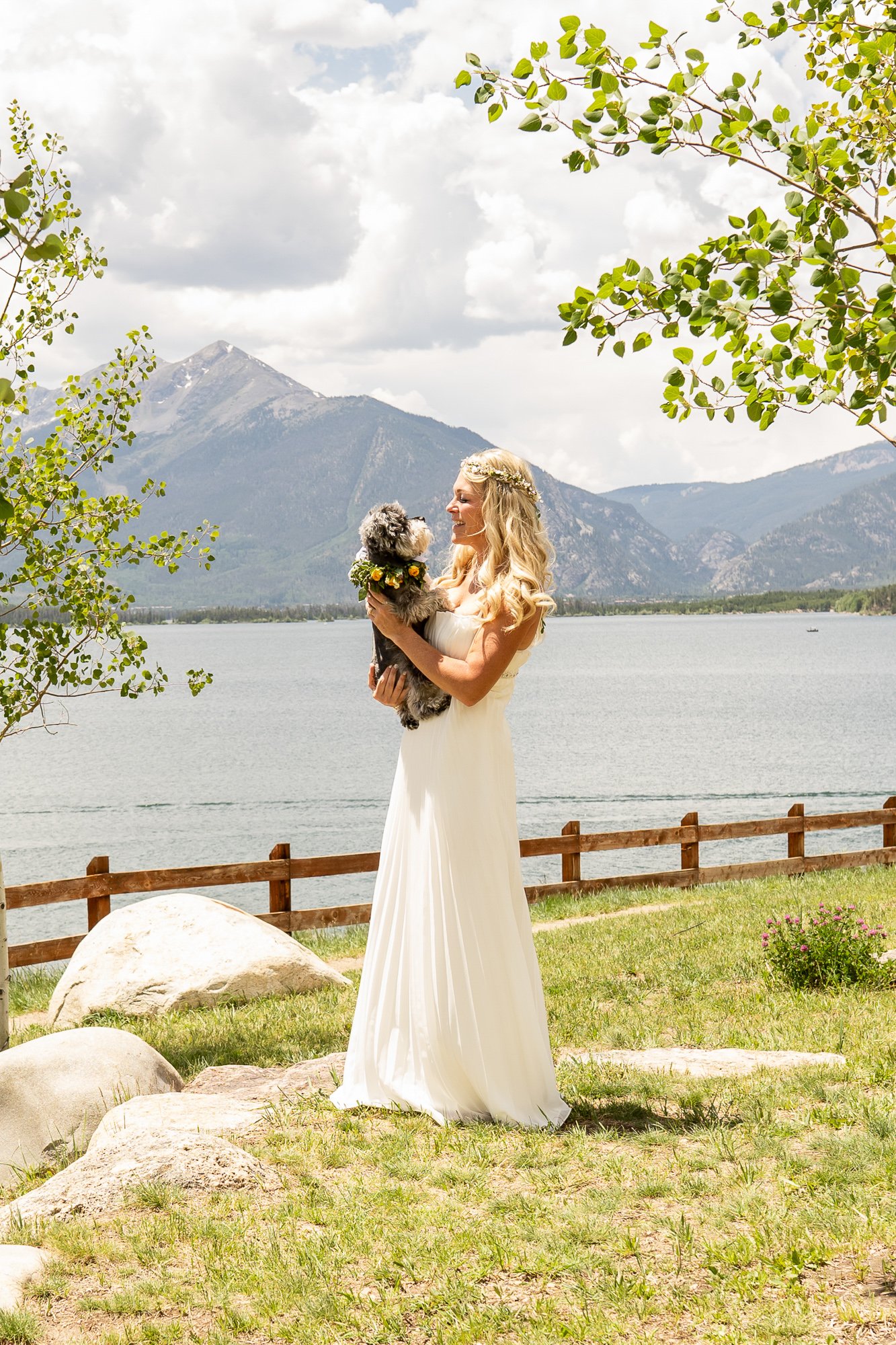 bride and her dog.jpg