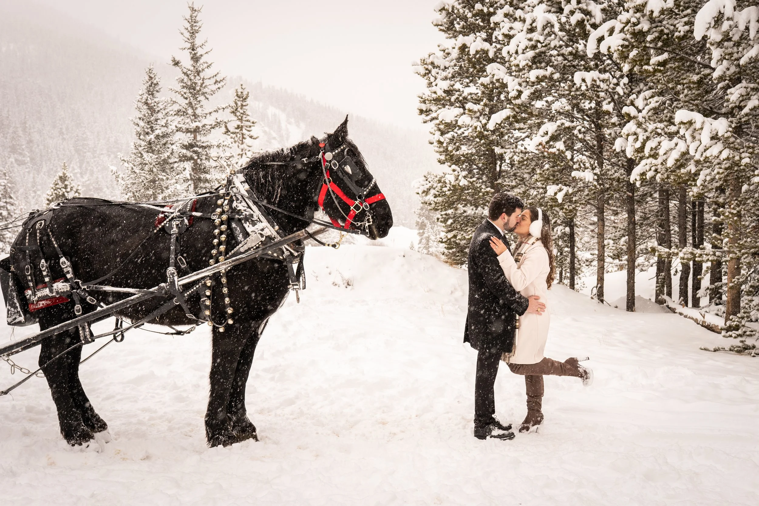 christmas-eve-sleigh-ride-proposal.jpg