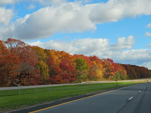 Around &amp; About The Hamptons
