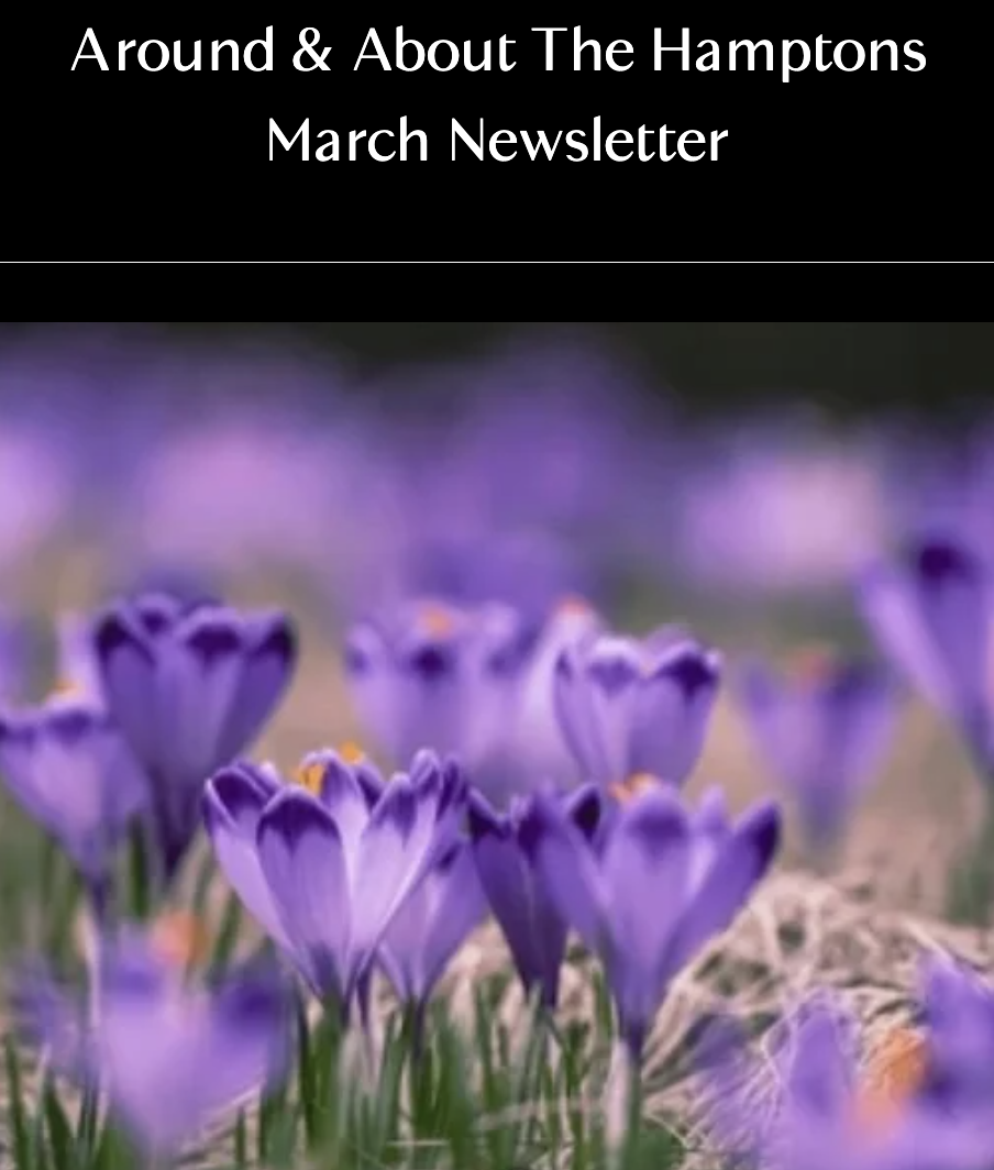 Around &amp; About The Hamptons