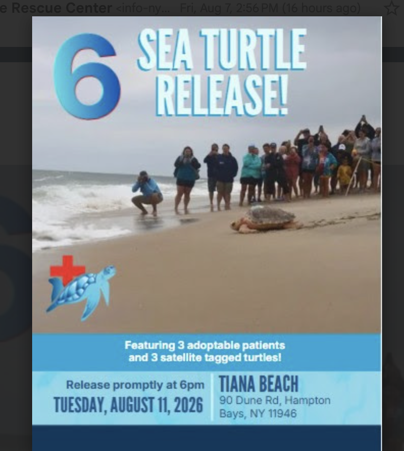 Marine Rescue Release Tuesday August 11th @ 6pm