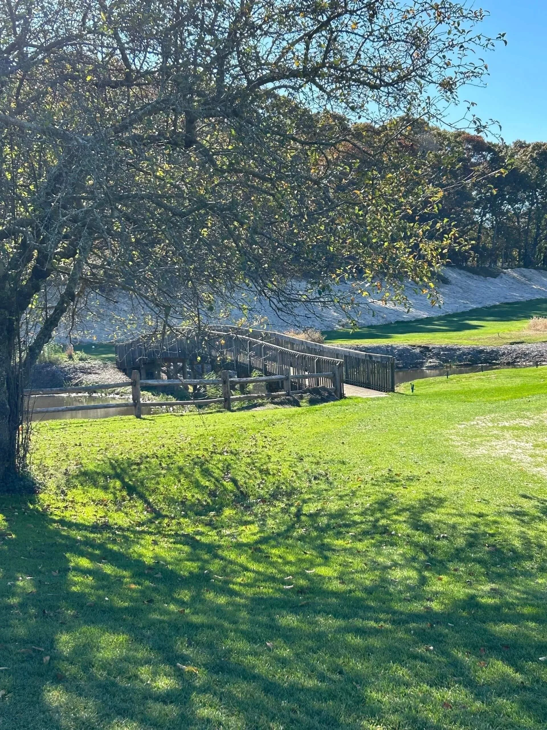 Golf course showing a large tree on the left with green foliage, a grassy area with shadows, a small wooden footbridge crossing a stream.