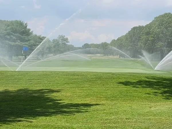 Around &amp; About The Hamptons