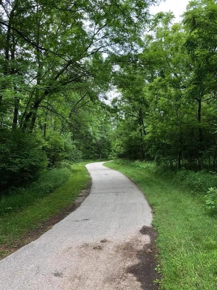 A winding concrete pathway through a lush green forest with trees and grass on both sides.