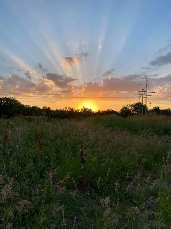 Sunset over a grassy field with trees and power lines in the distance.