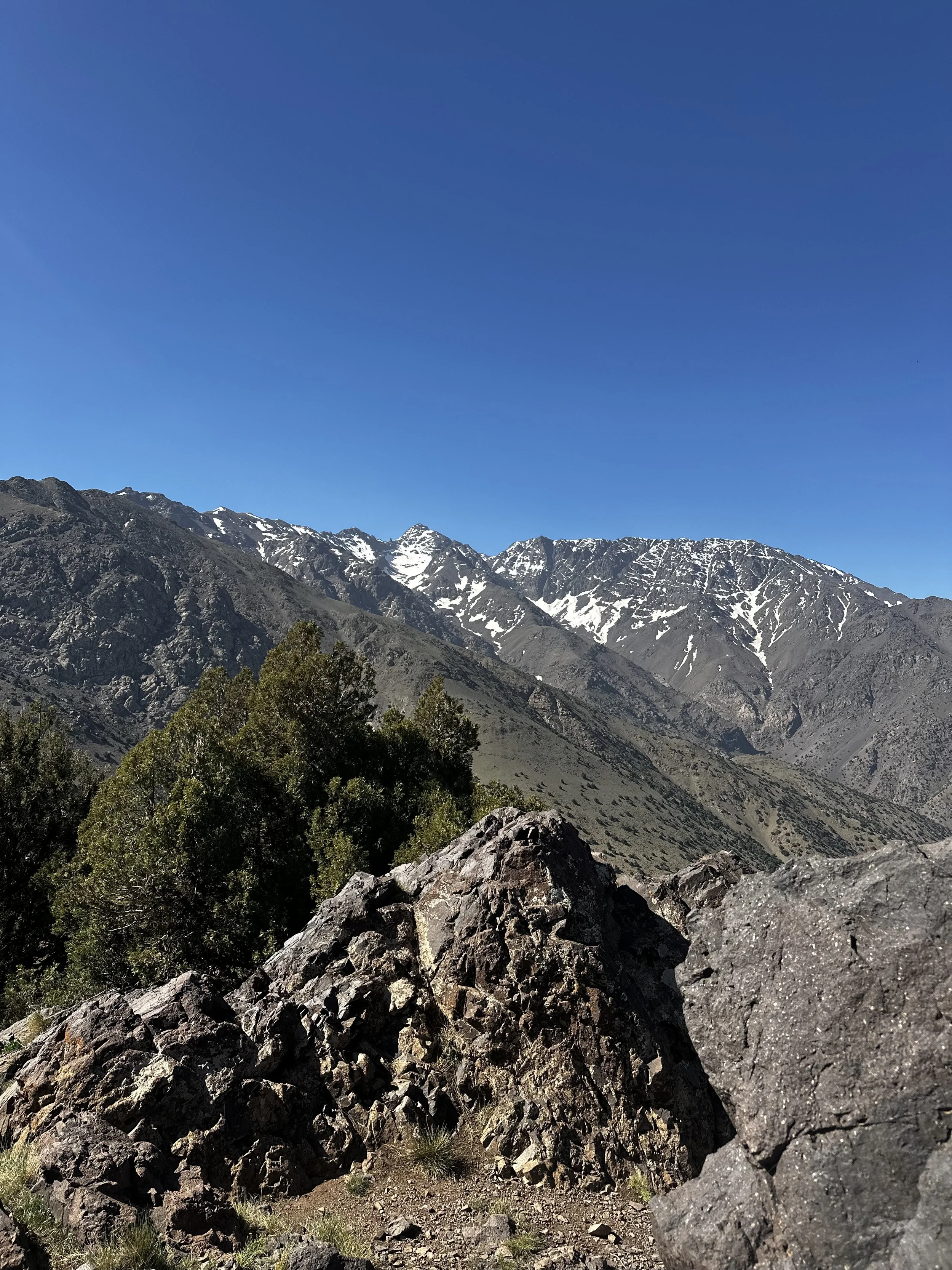 IMG_0768.jpeg