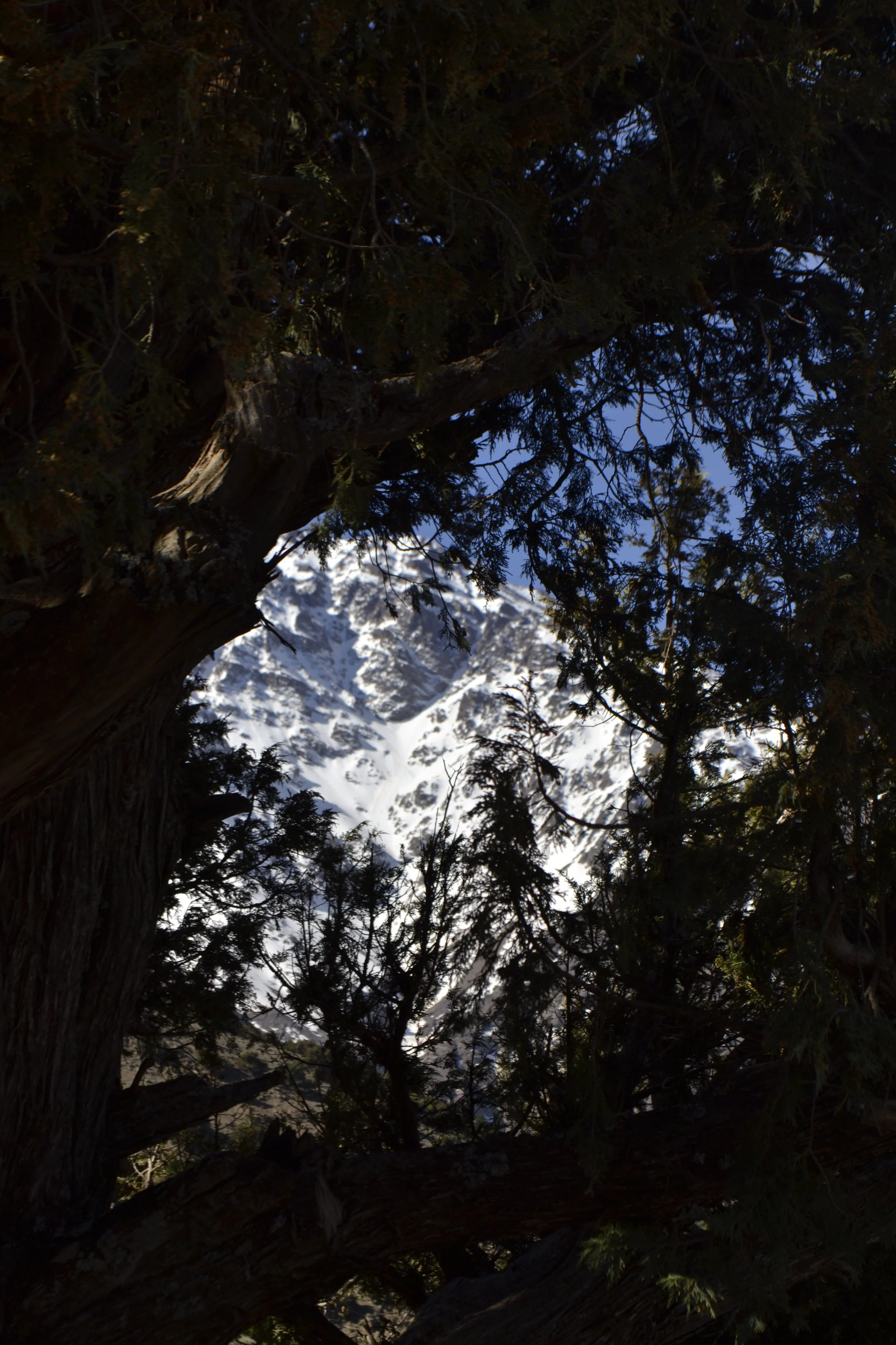 _DSC0190.jpeg