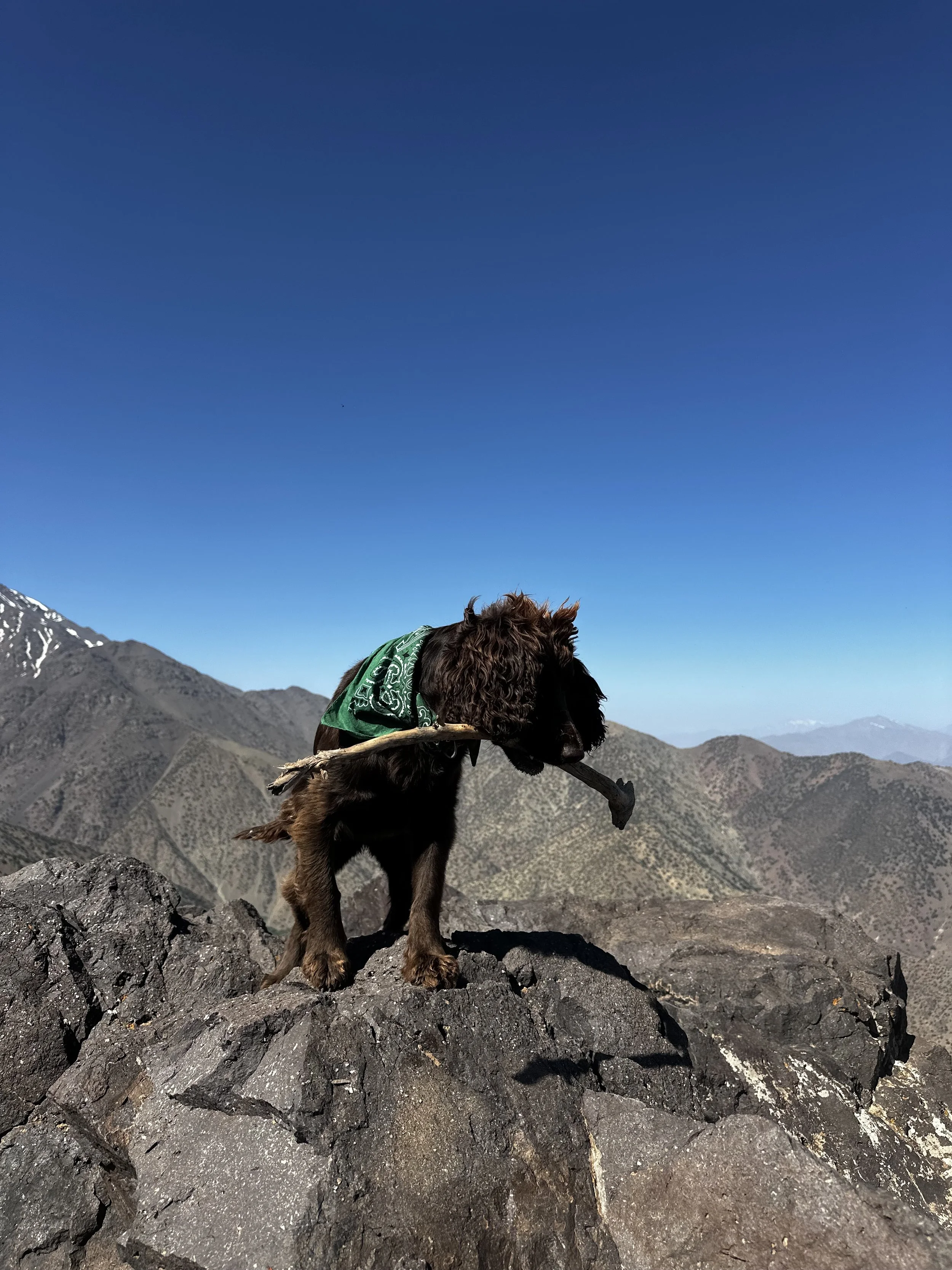 No Lead Required — chasing summits with Mavis through Toubkal National Park