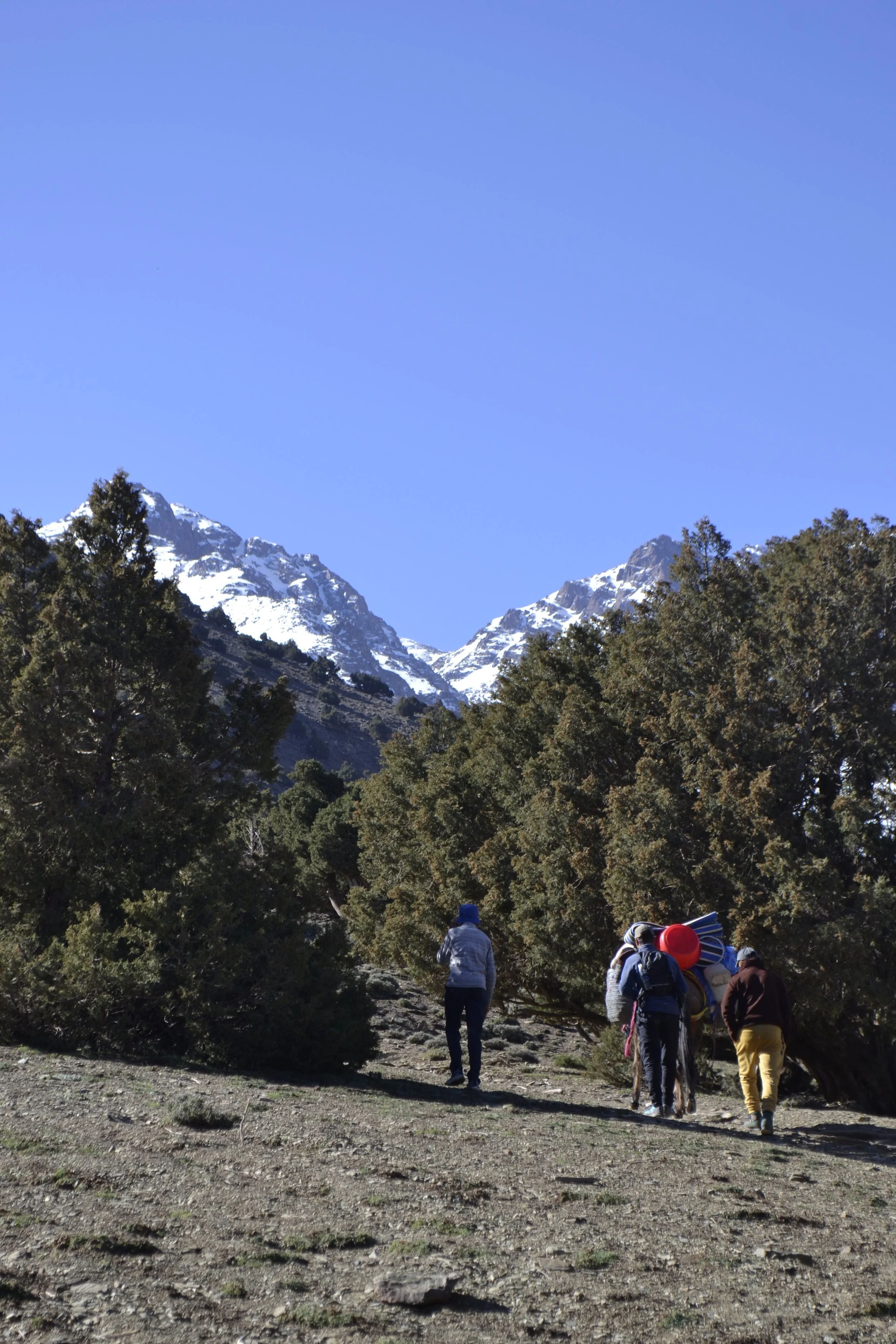 2-Day High Atlas Trek